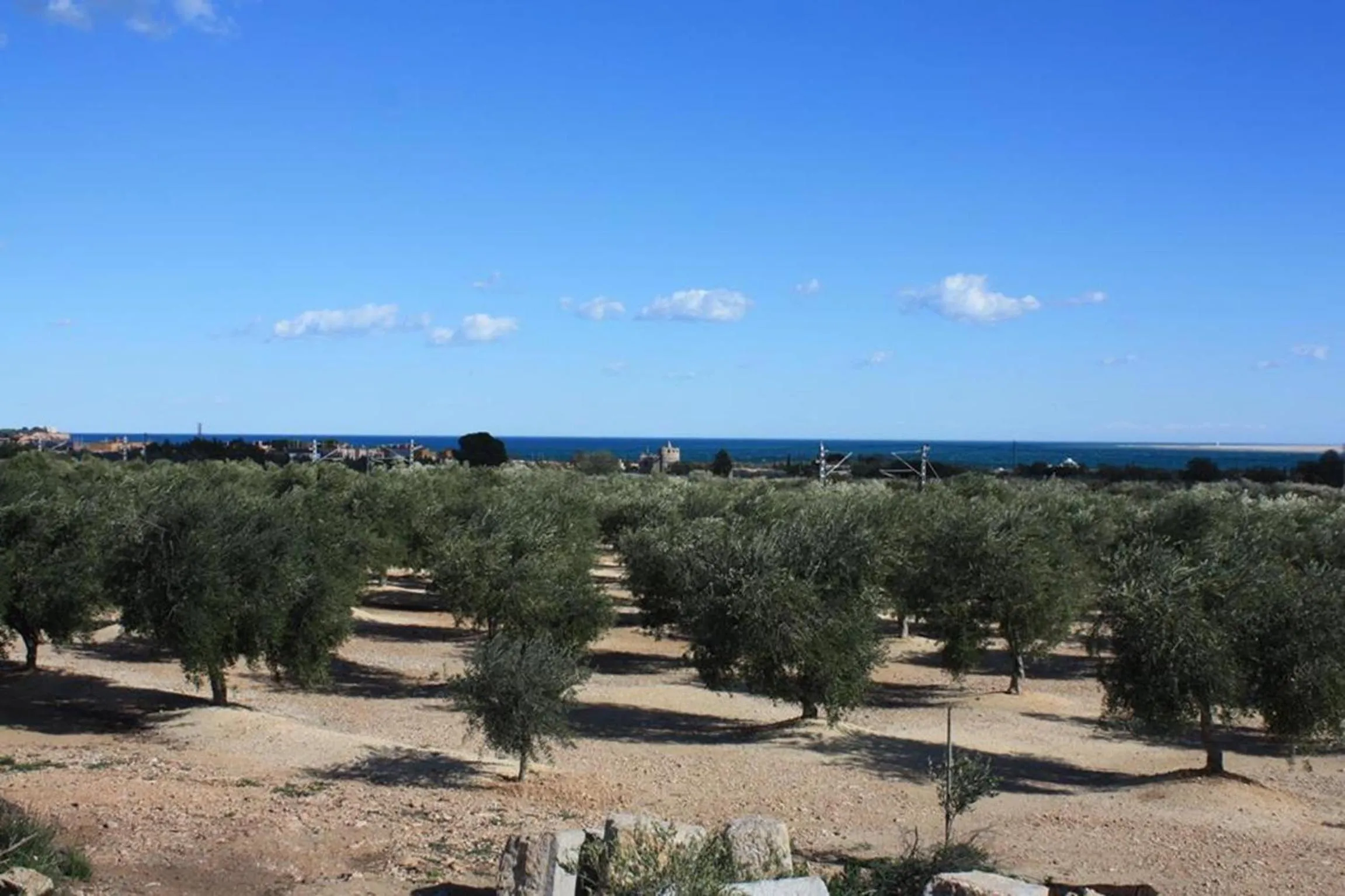 View (from property/room) in Cau d'Amor
