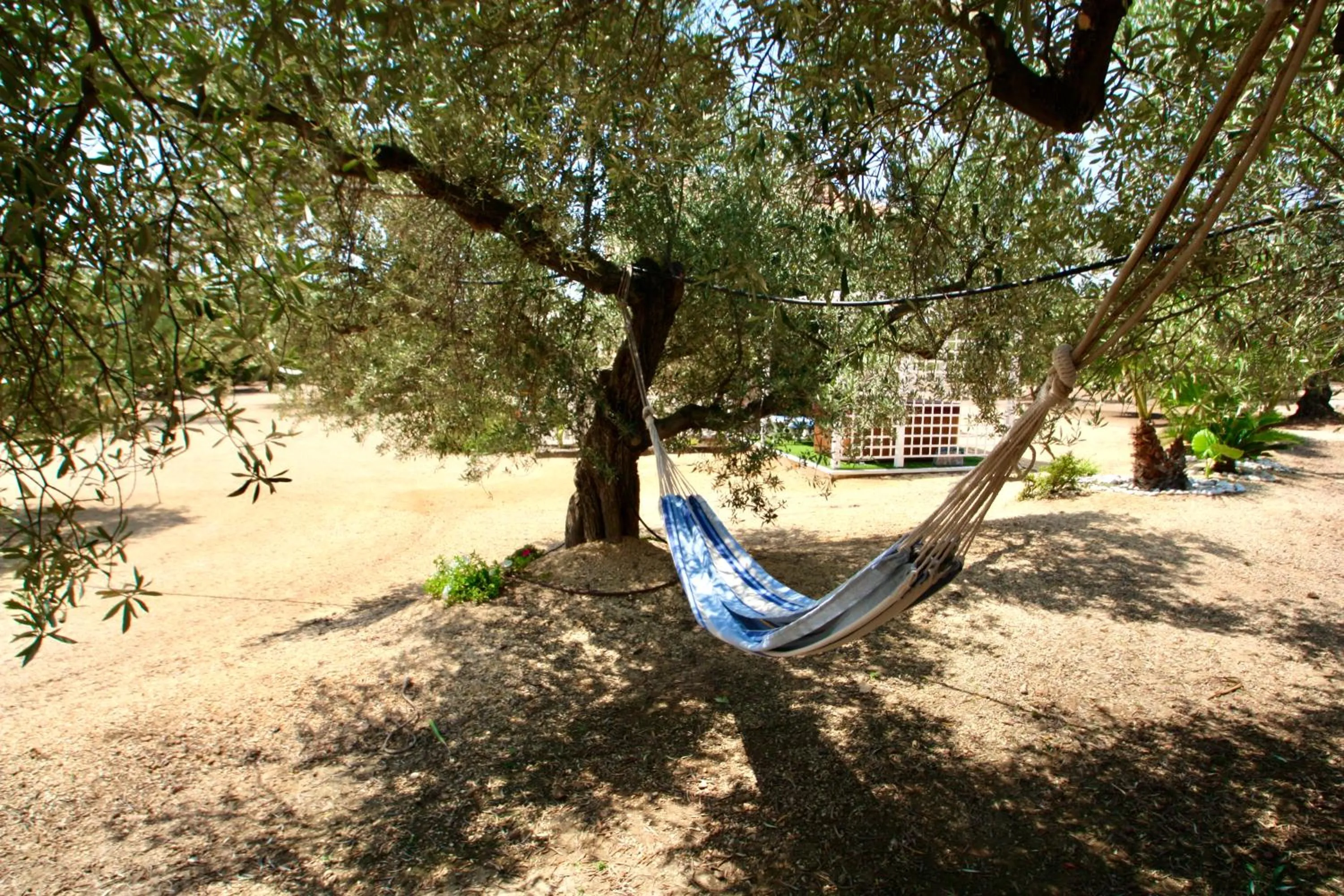 Garden in Cau d'Amor