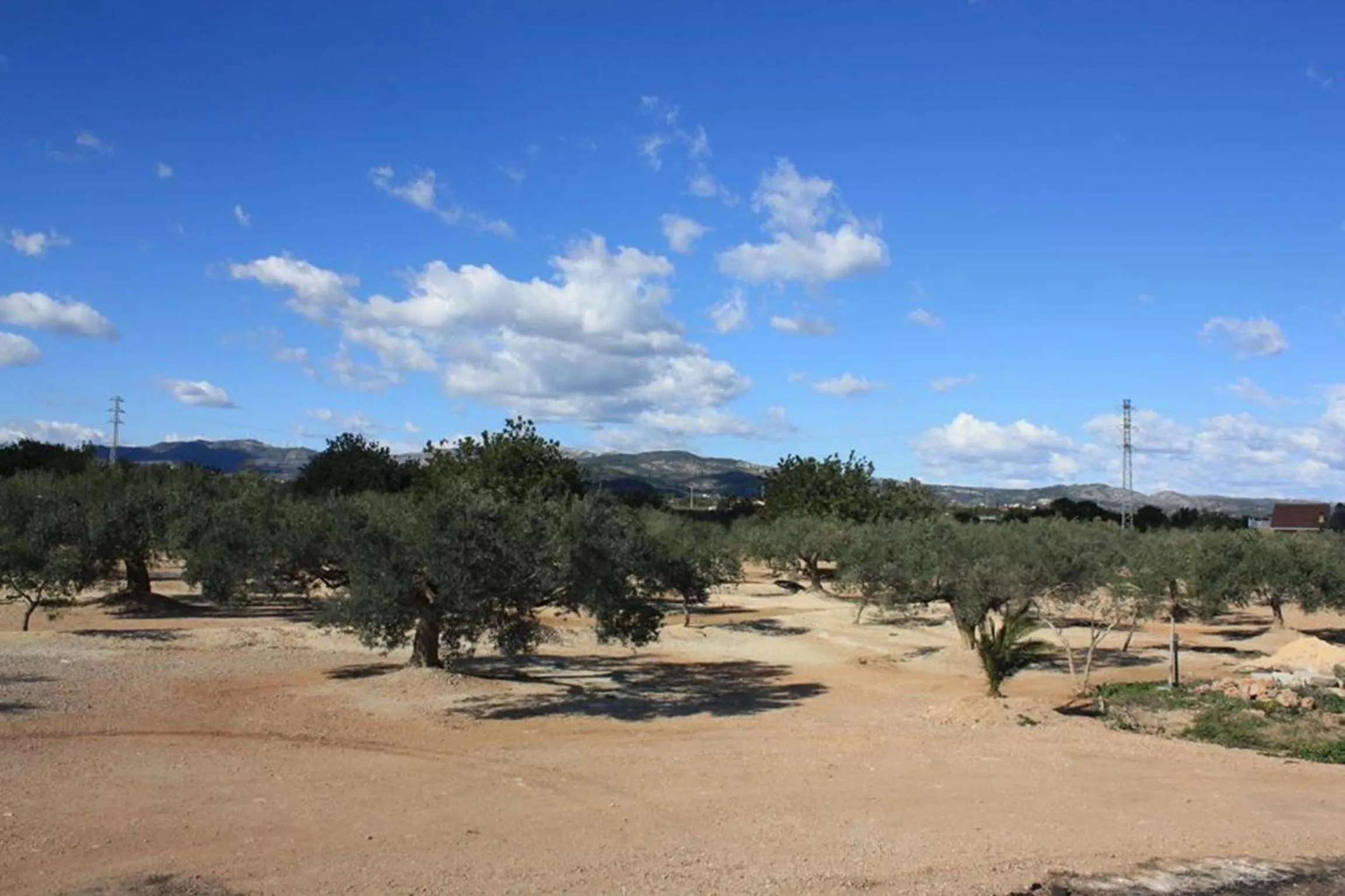 View (from property/room) in Cau d'Amor