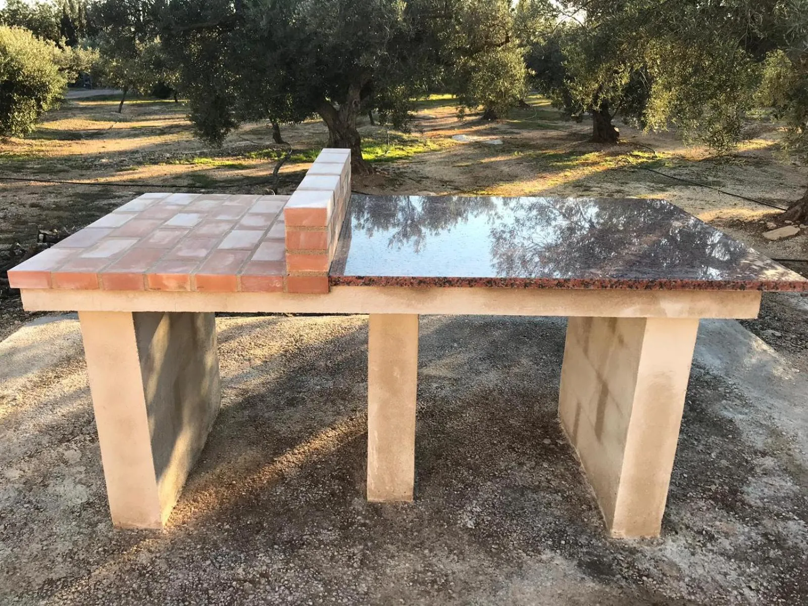 BBQ facilities in Cau d'Amor
