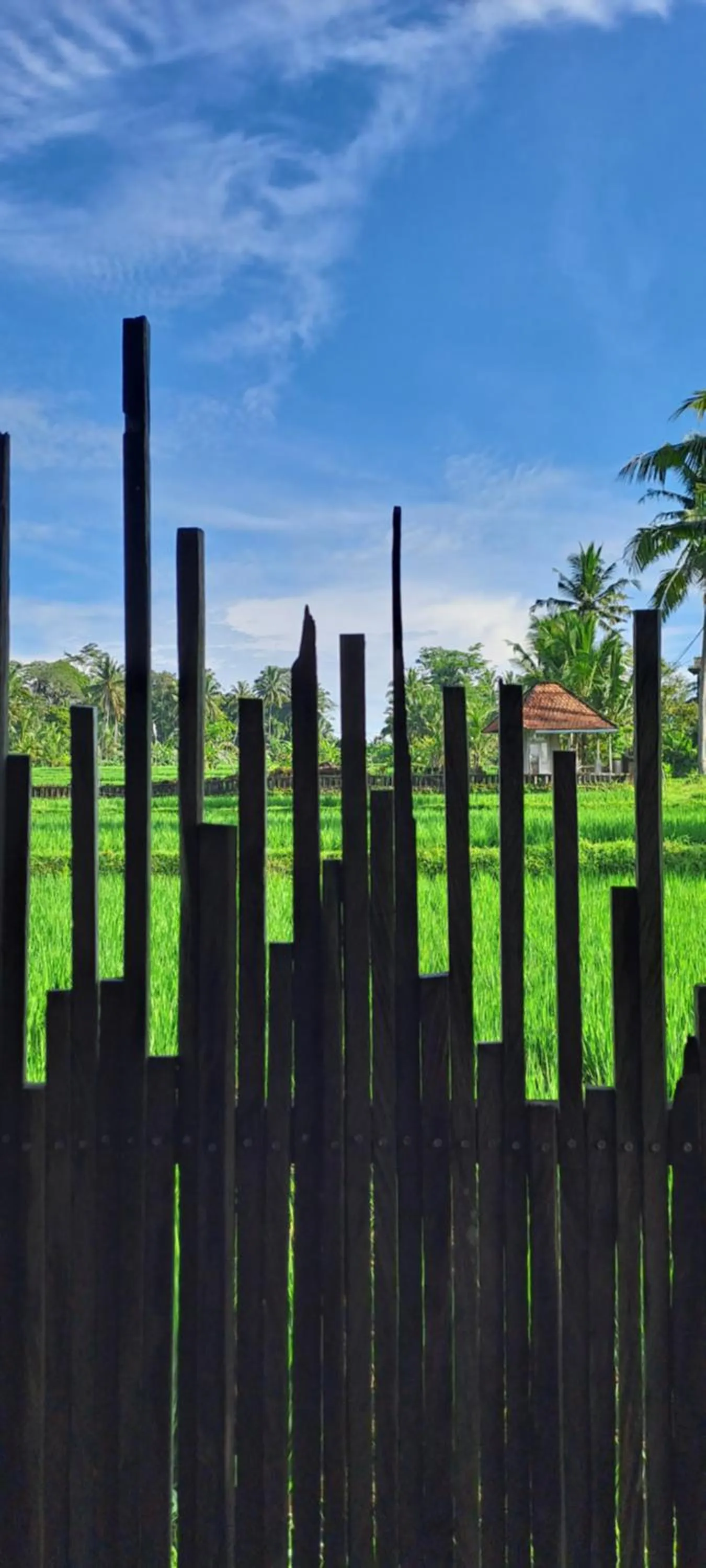 Day in Galang hari villa