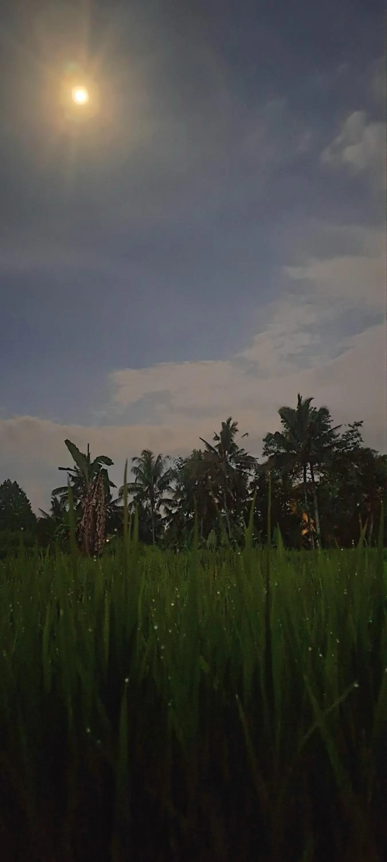 Natural landscape in Galang hari villa