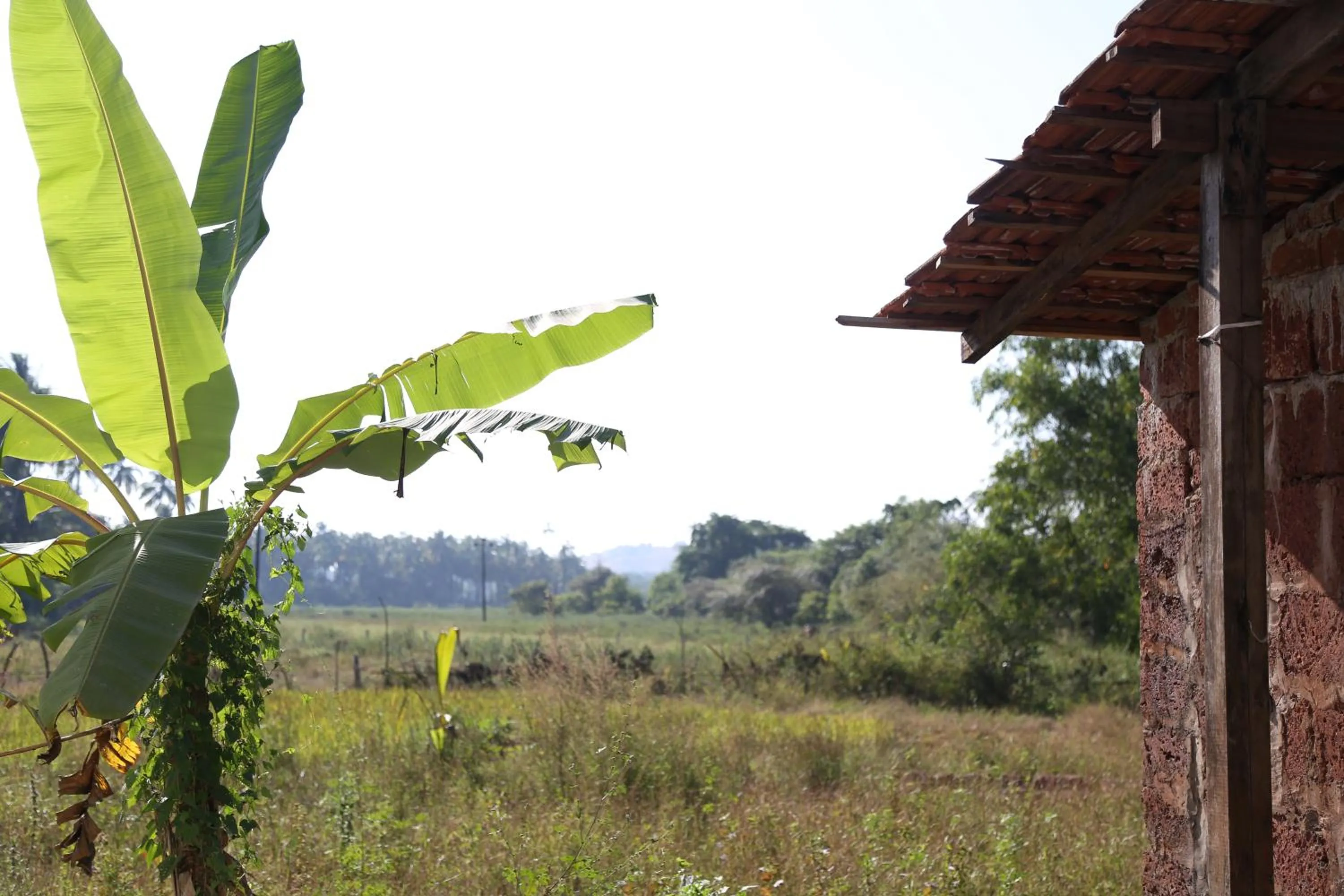 Natural landscape in The Hammock Goa