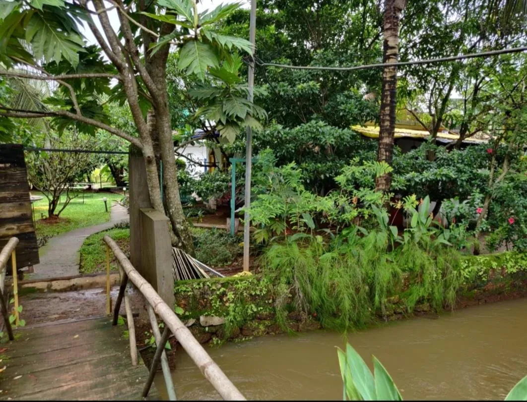 Property building in The Hammock Goa