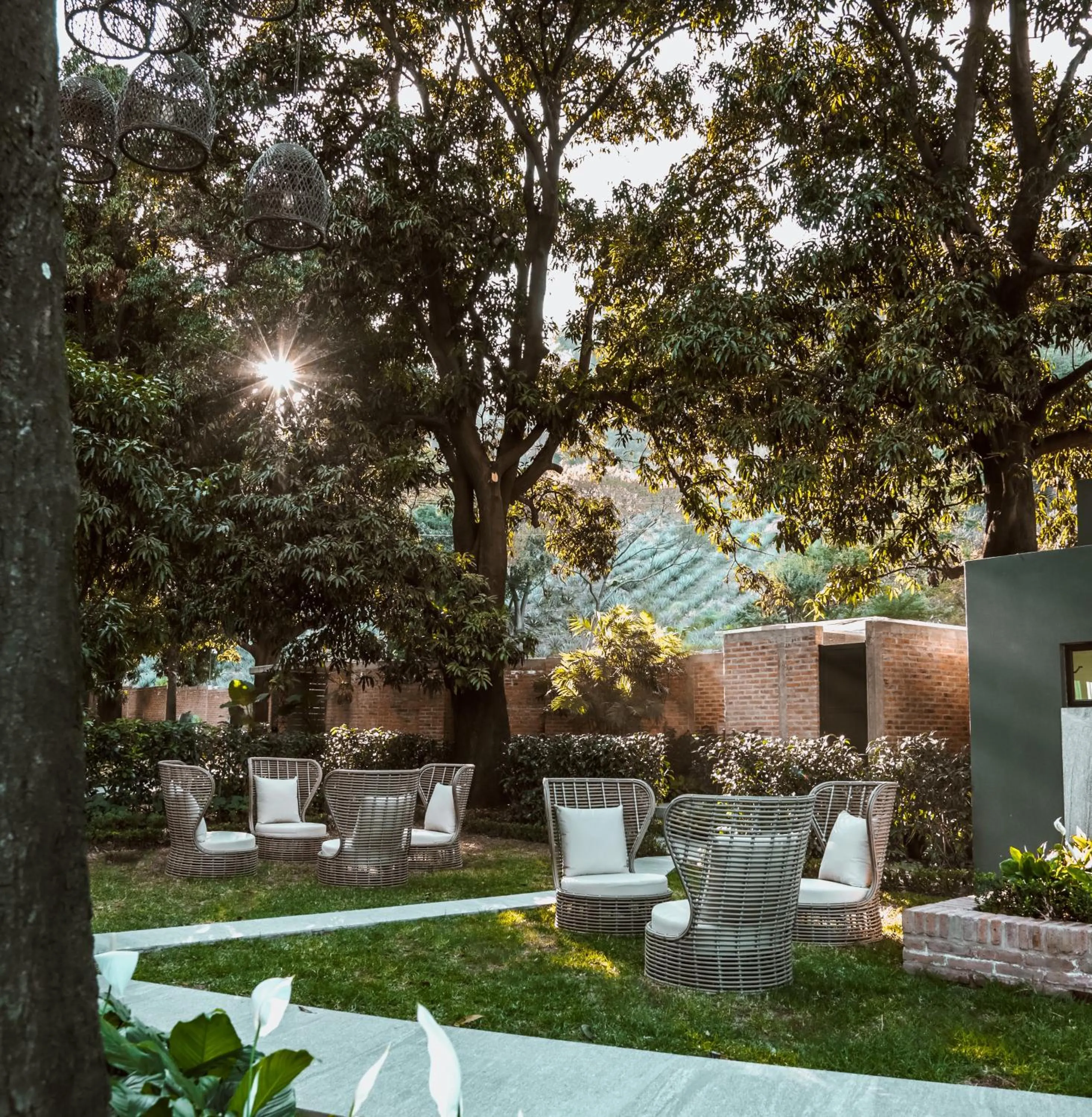 Garden in Casa Salles Hotel Boutique