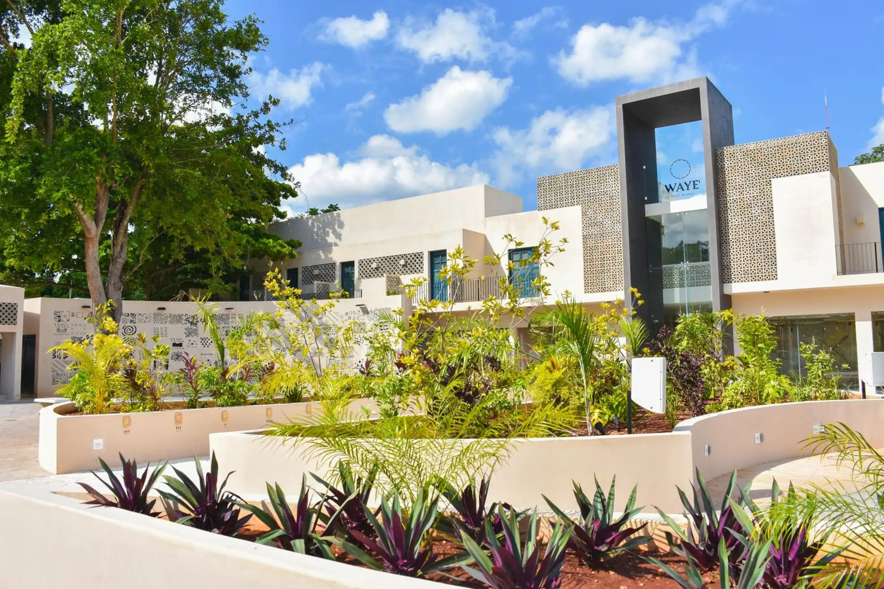 Property building in Waye Valladolid Centro - Sustainable, Authentic Experiences & Pet Friendly Boutique Hotel Property building in Waye Valladolid Centro - Sustainable, Authentic Experiences & Pet Friendly Boutique Hotel