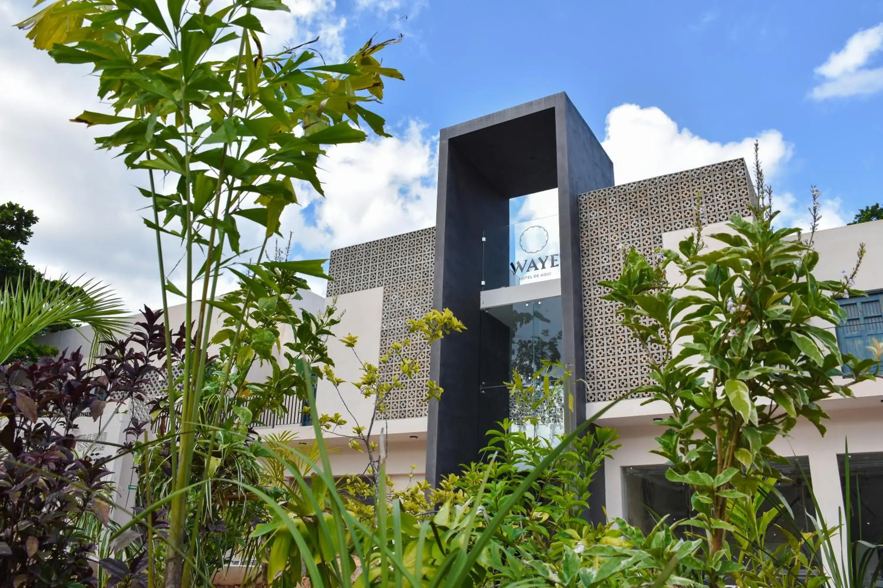 Property building in Waye Valladolid Centro - Sustainable, Authentic Experiences & Pet Friendly Boutique Hotel Property building in Waye Valladolid Centro - Sustainable, Authentic Experiences & Pet Friendly Boutique Hotel