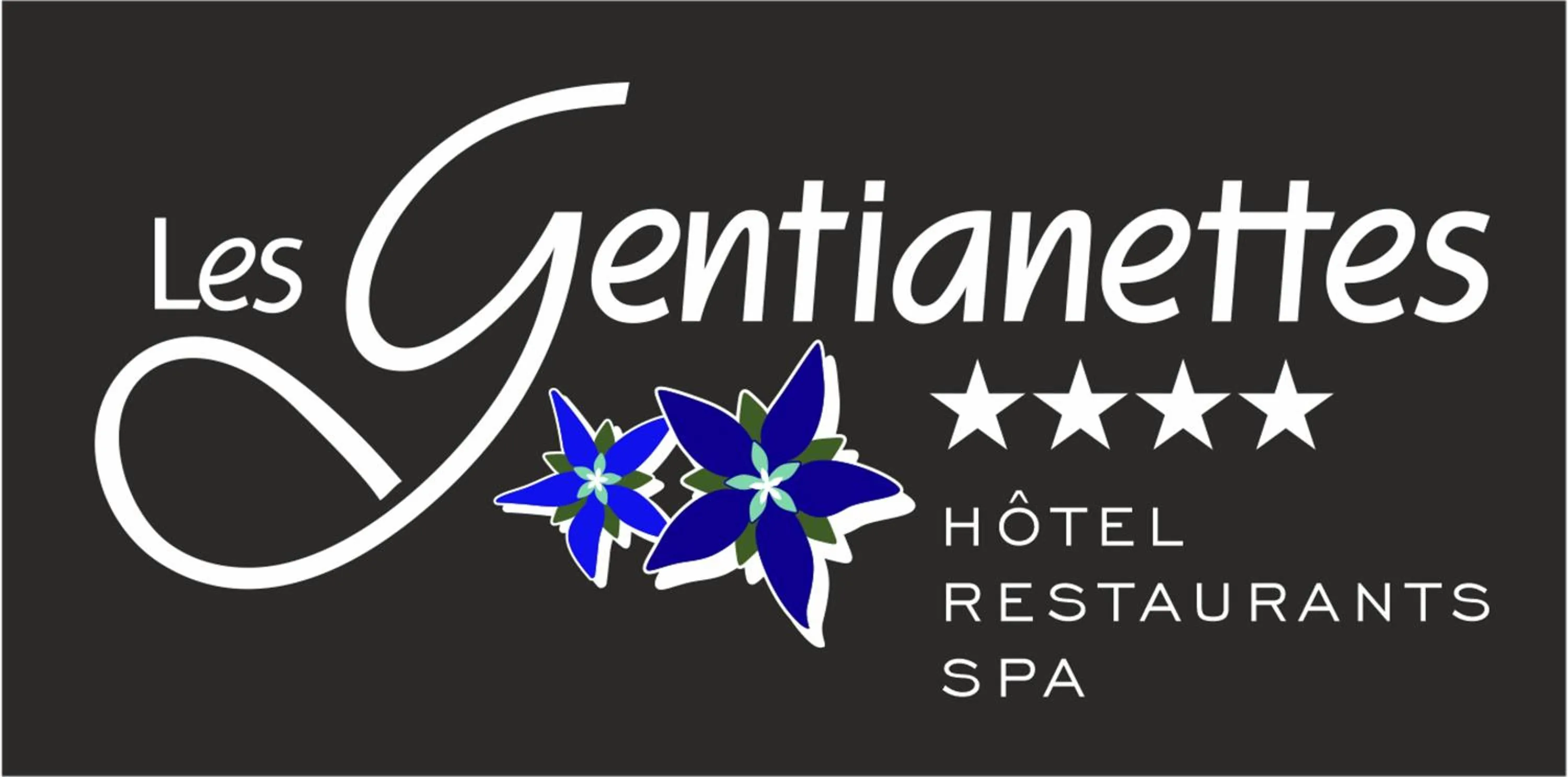Property logo or sign in Les Gentianettes Hotel & Spa