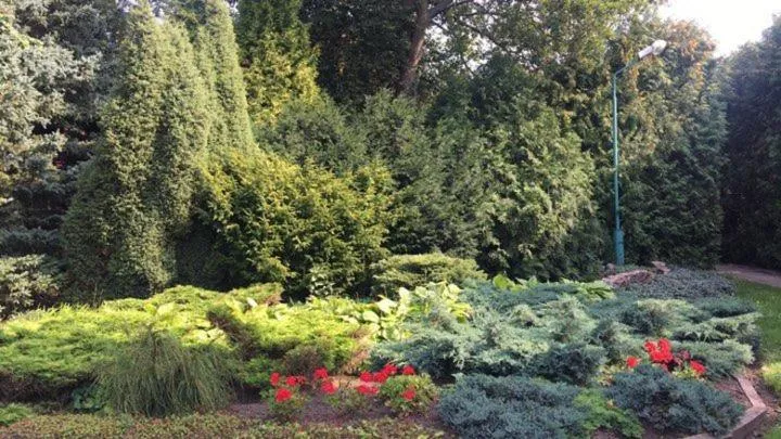 Garden in KTU Rest House Politechnika