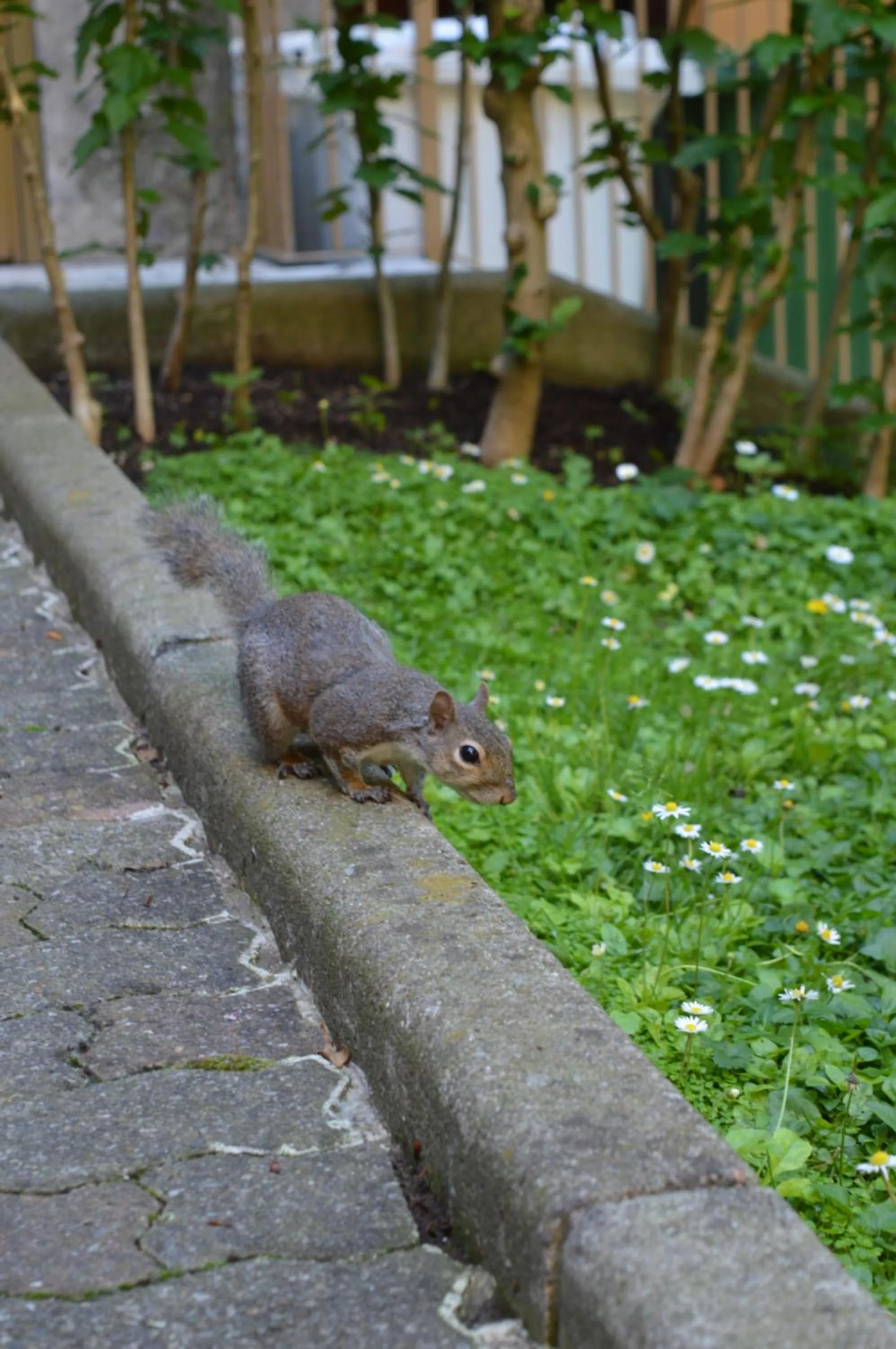 Garden in DESIGN DISTRICT- NAVIGLI Mini Appartamento Via Tortona 66