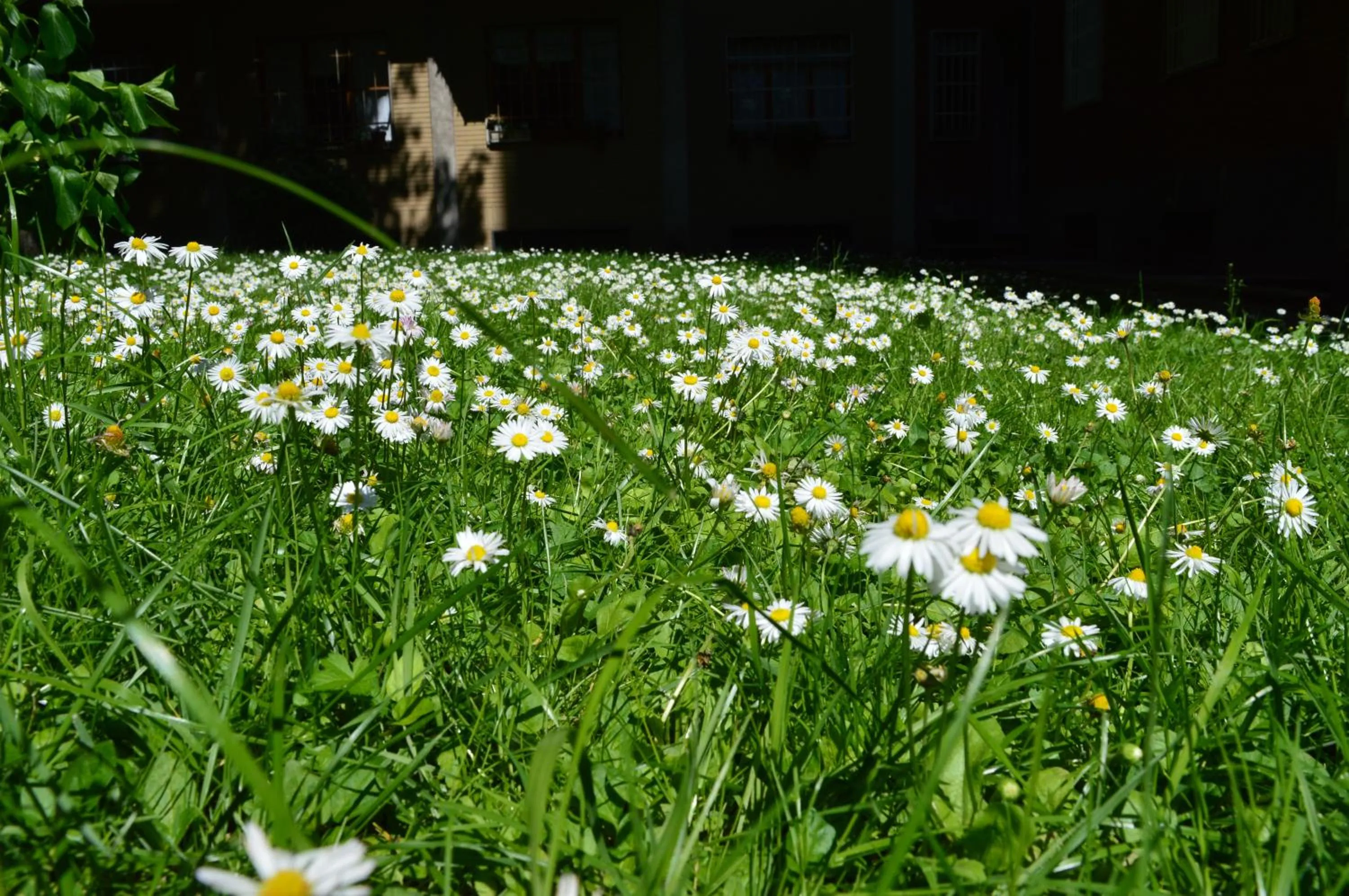 Garden in DESIGN DISTRICT- NAVIGLI Mini Appartamento Via Tortona 66