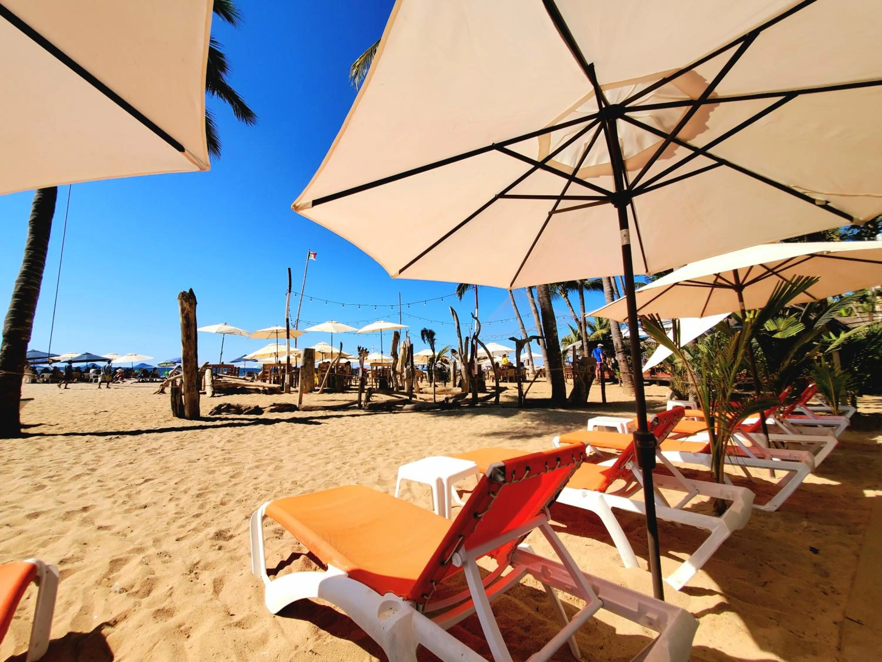 Natural landscape in Hotel Ysuri San Pancho