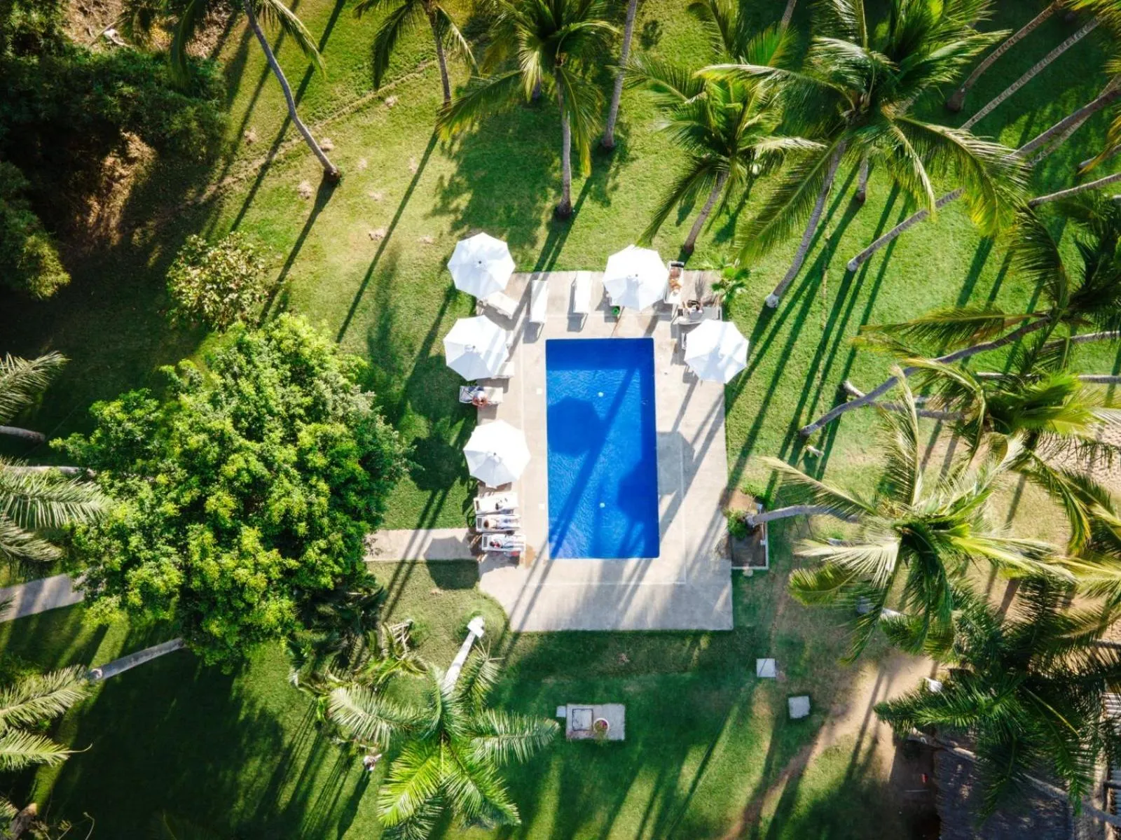 Natural landscape in Hotel Ysuri San Pancho