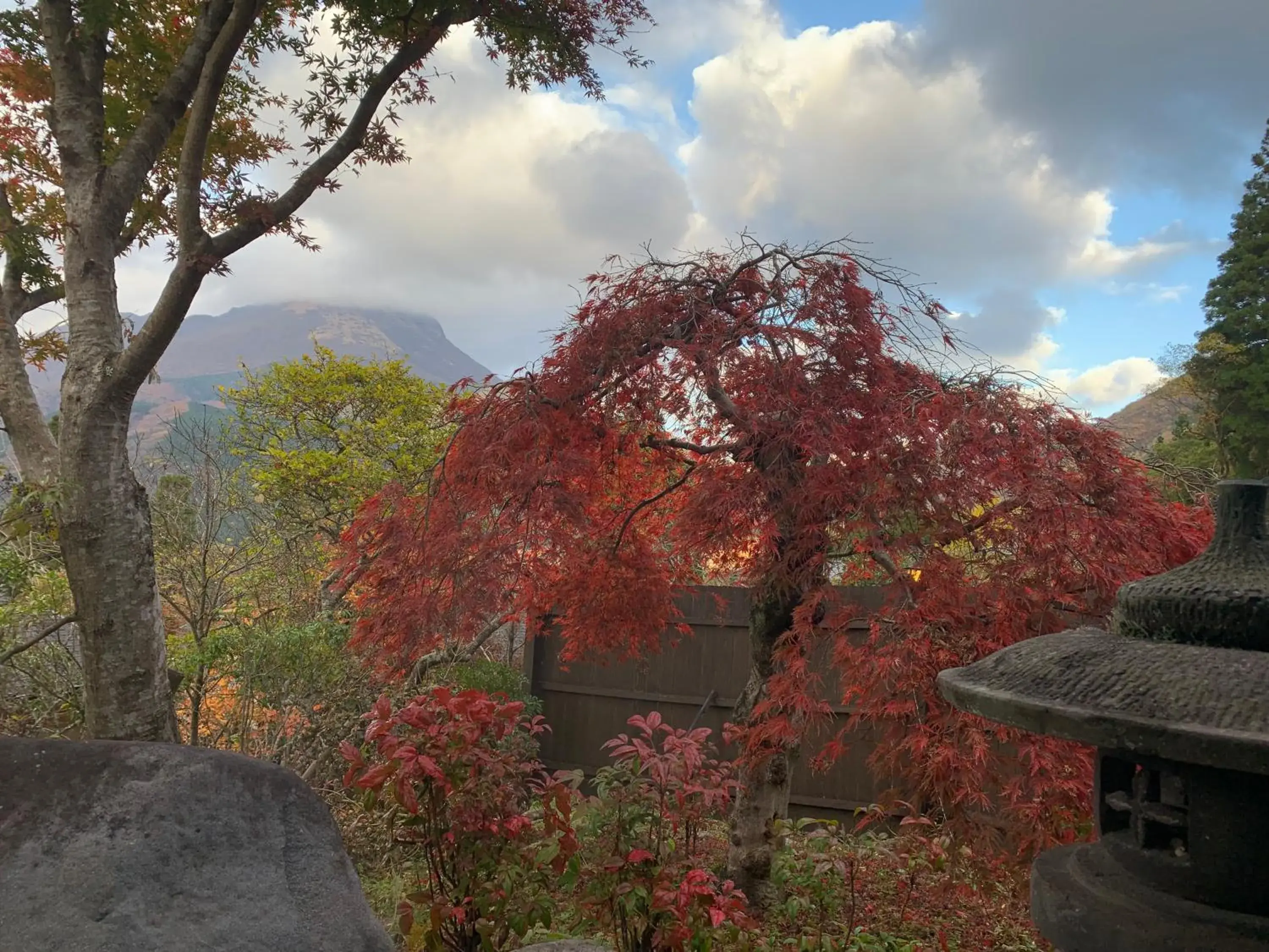 Mountain view in Yufuin-Sanso Waremokou Mountain view in Yufuin-Sanso Waremokou