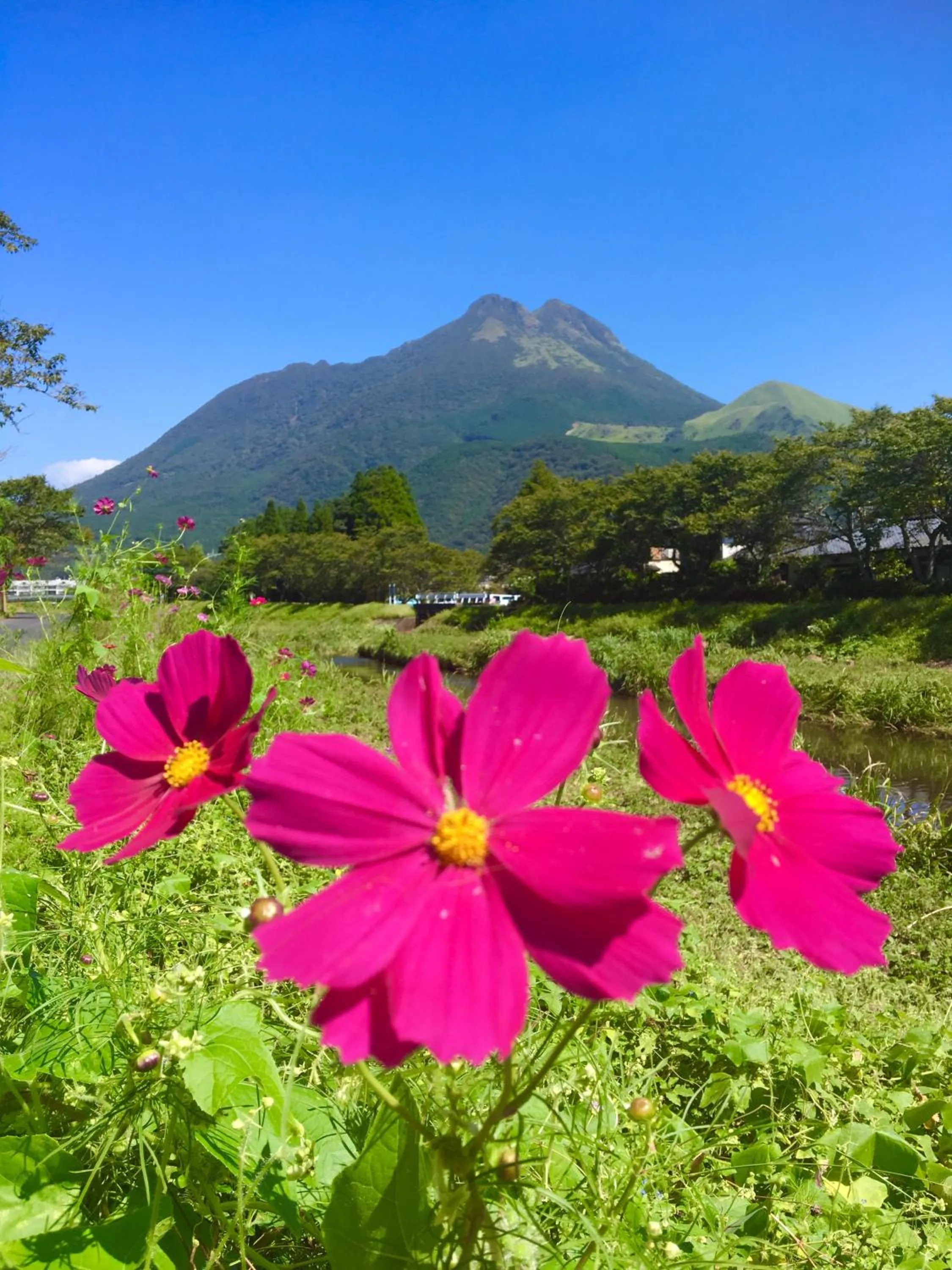 Natural landscape in Yufuin-Sanso Waremokou