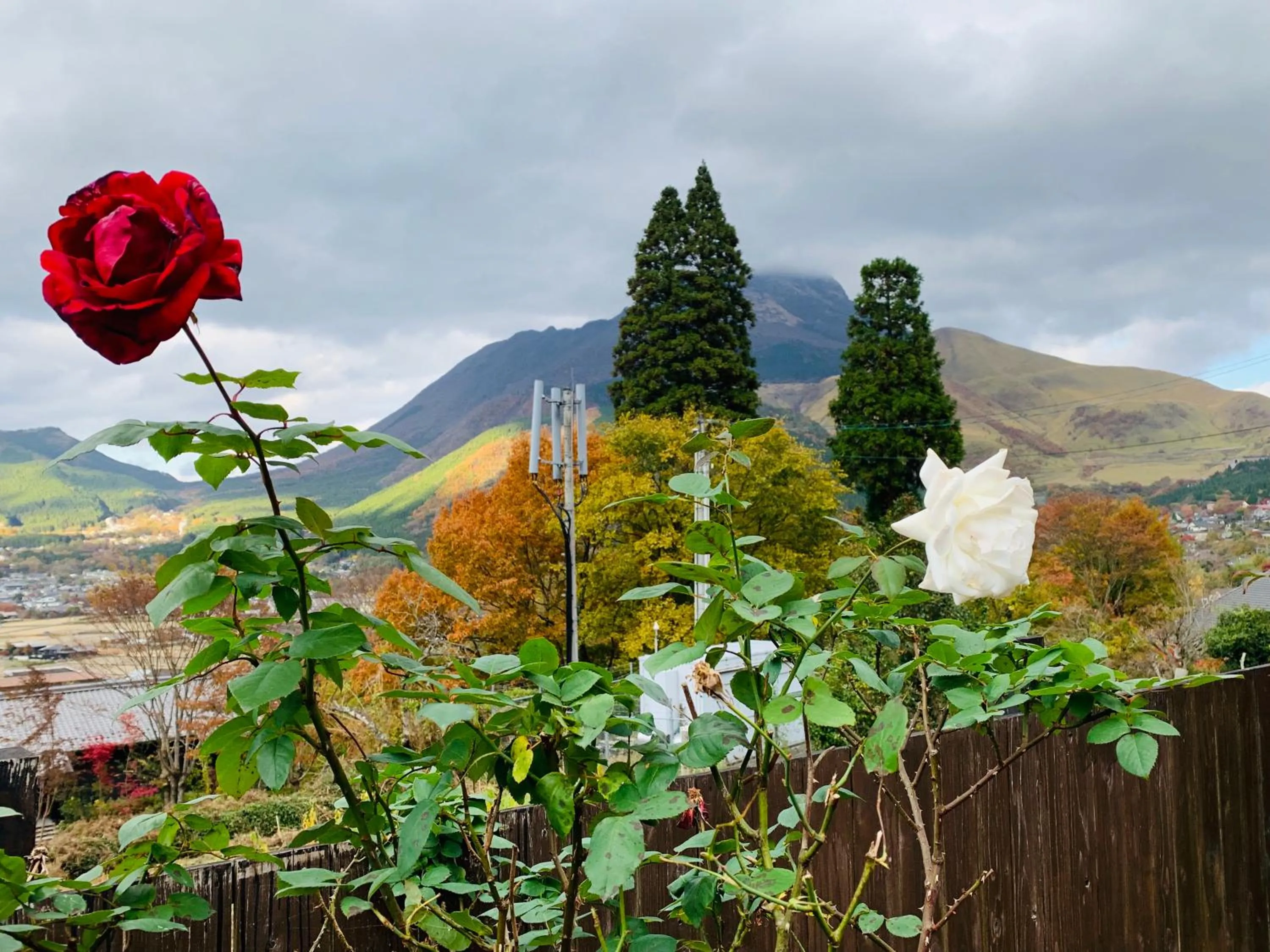 Mountain view in Yufuin-Sanso Waremokou