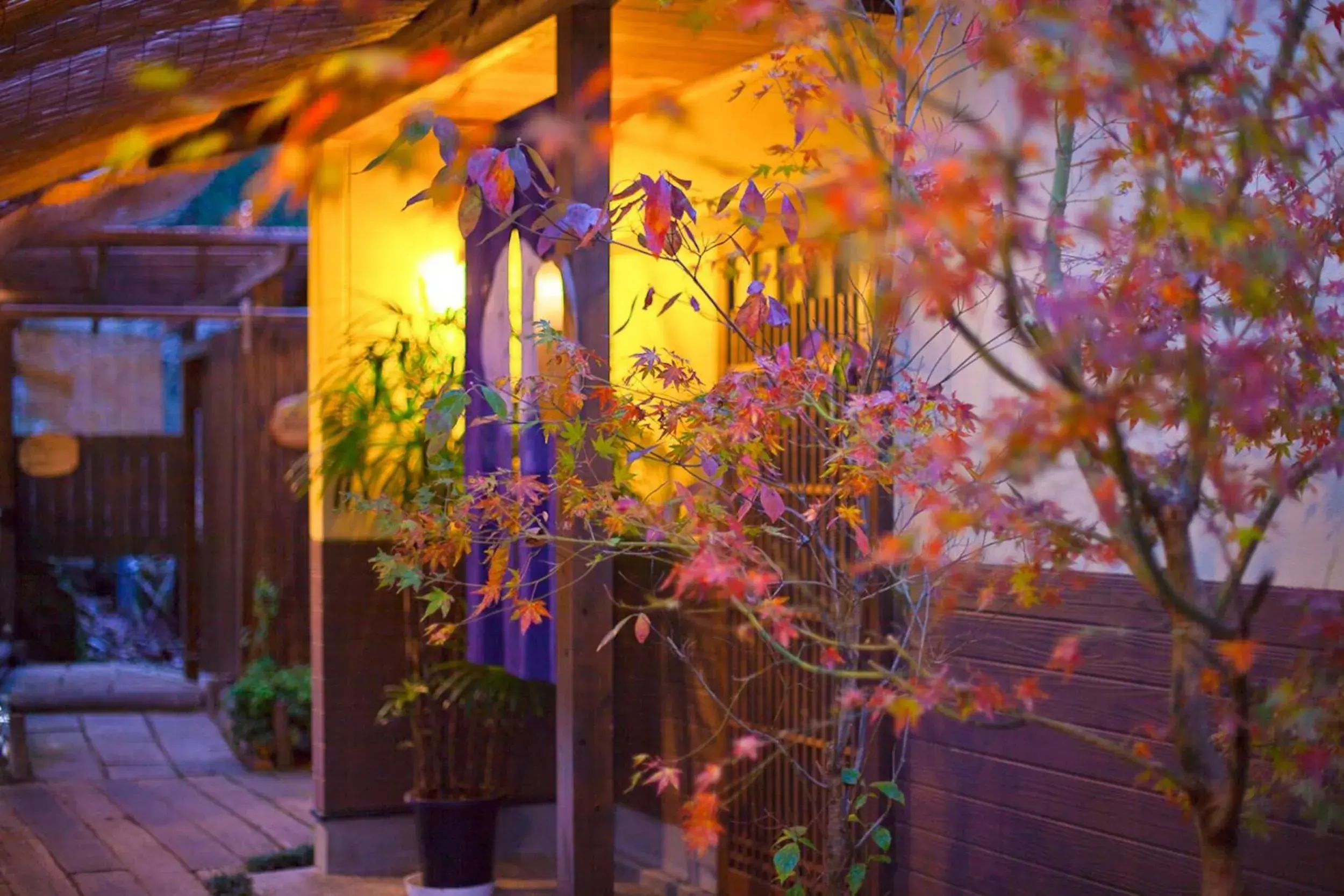 Property building in Yufuin-Sanso Waremokou Property building in Yufuin-Sanso Waremokou