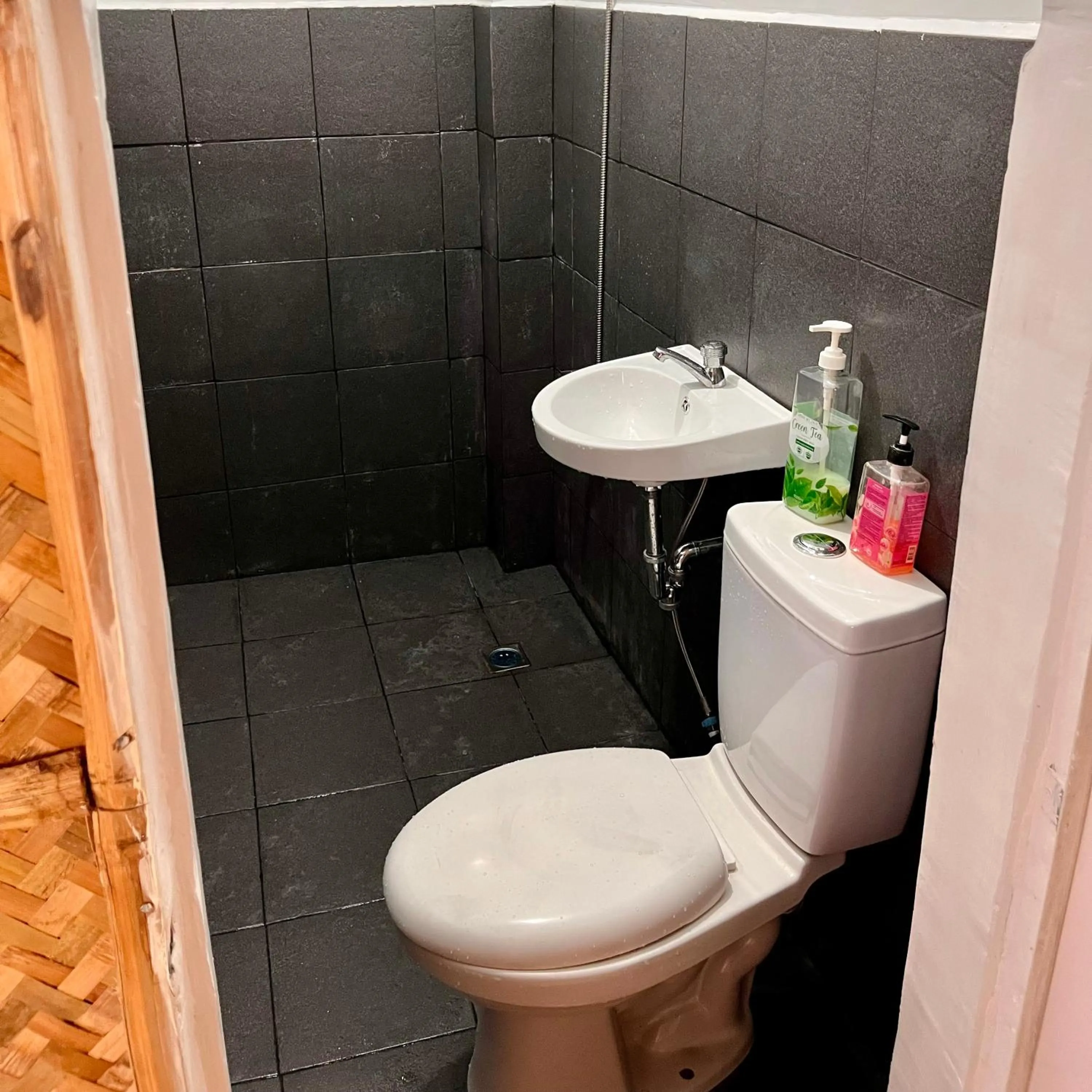 Toilet in Amami Beachfront Villa with Private Beach