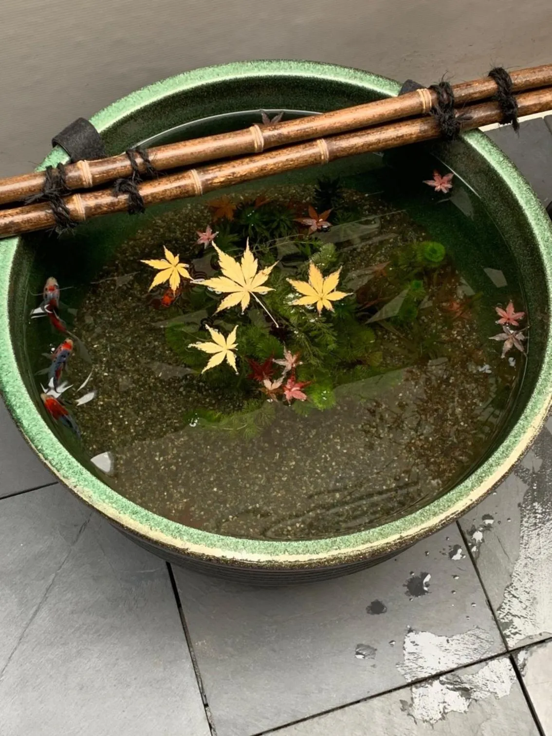 Balcony/Terrace in Shinjuku Miyabi Residence