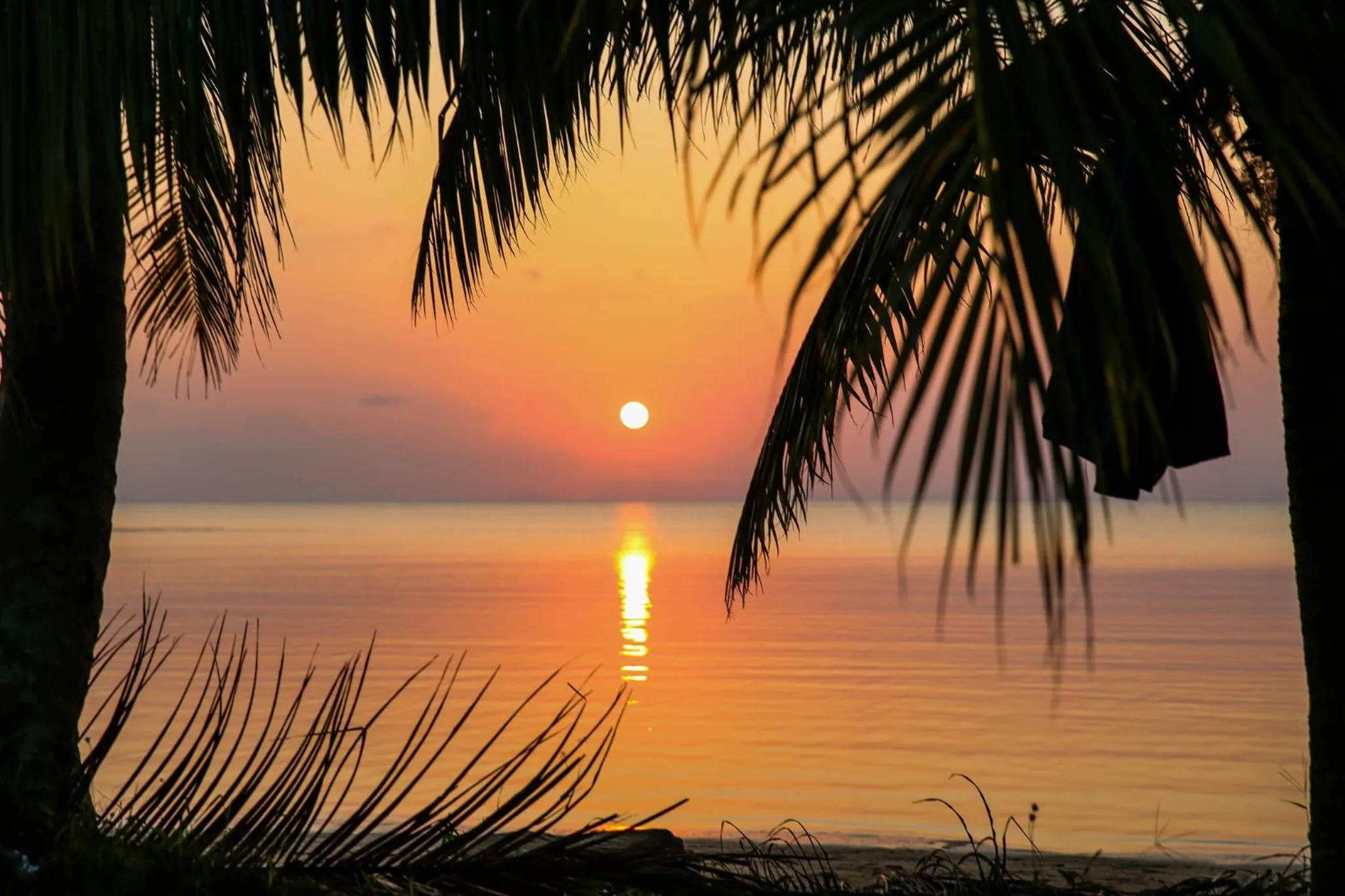 Neighbourhood in Zee Luxury Boutique Hotel