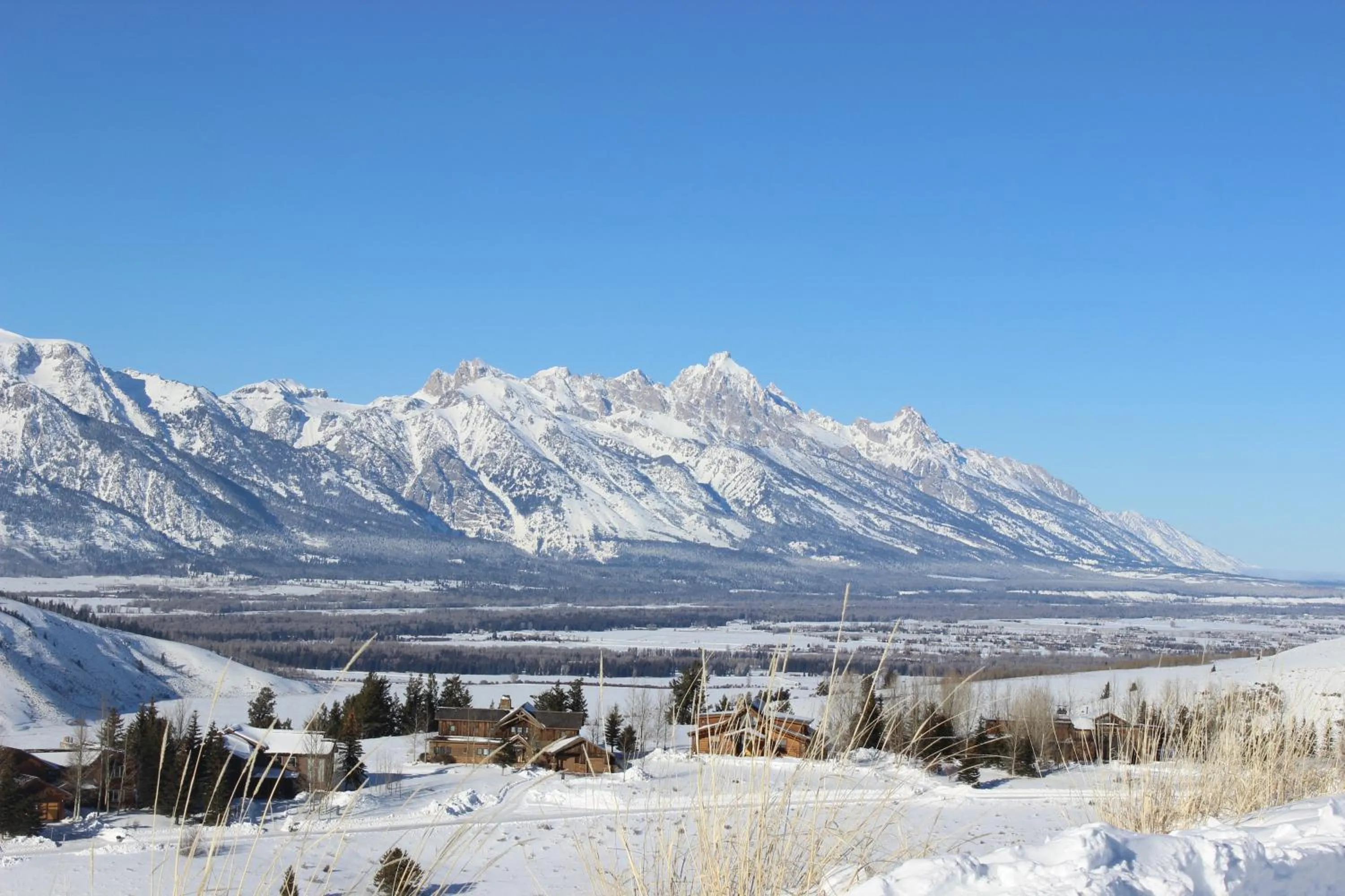 View (from property/room) in Spring Creek Ranch