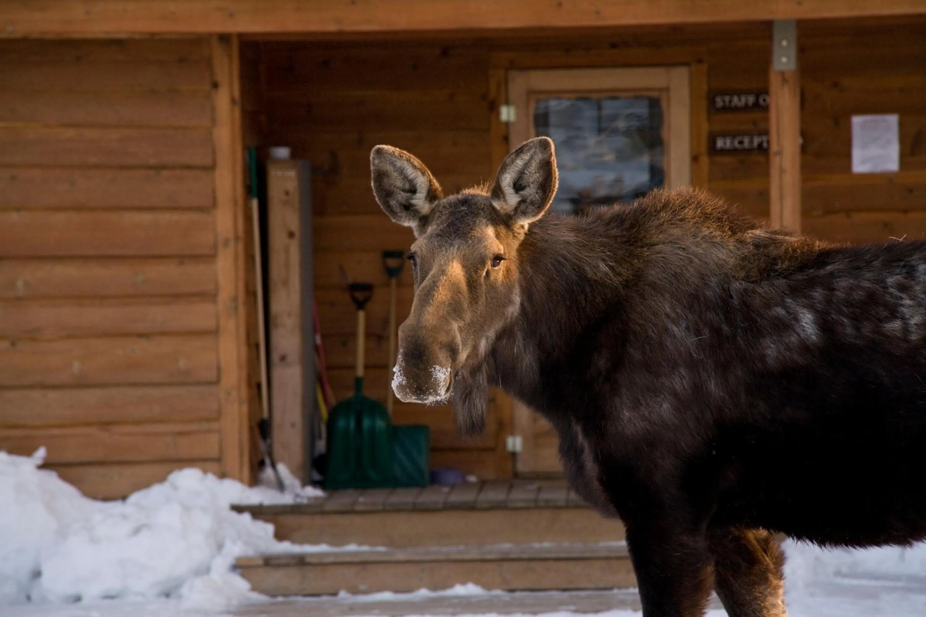 View (from property/room) in Spring Creek Ranch