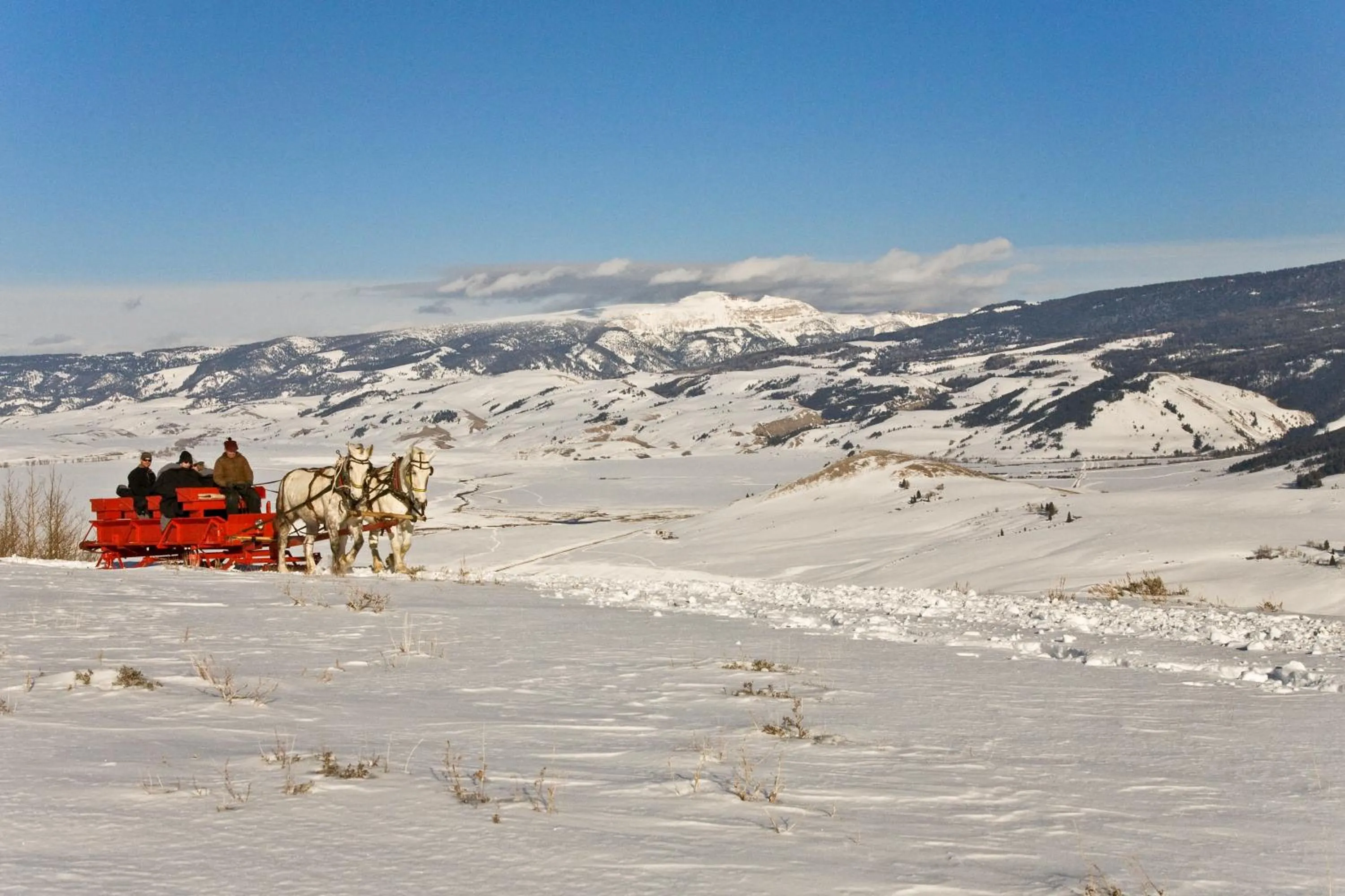 Natural landscape in Spring Creek Ranch