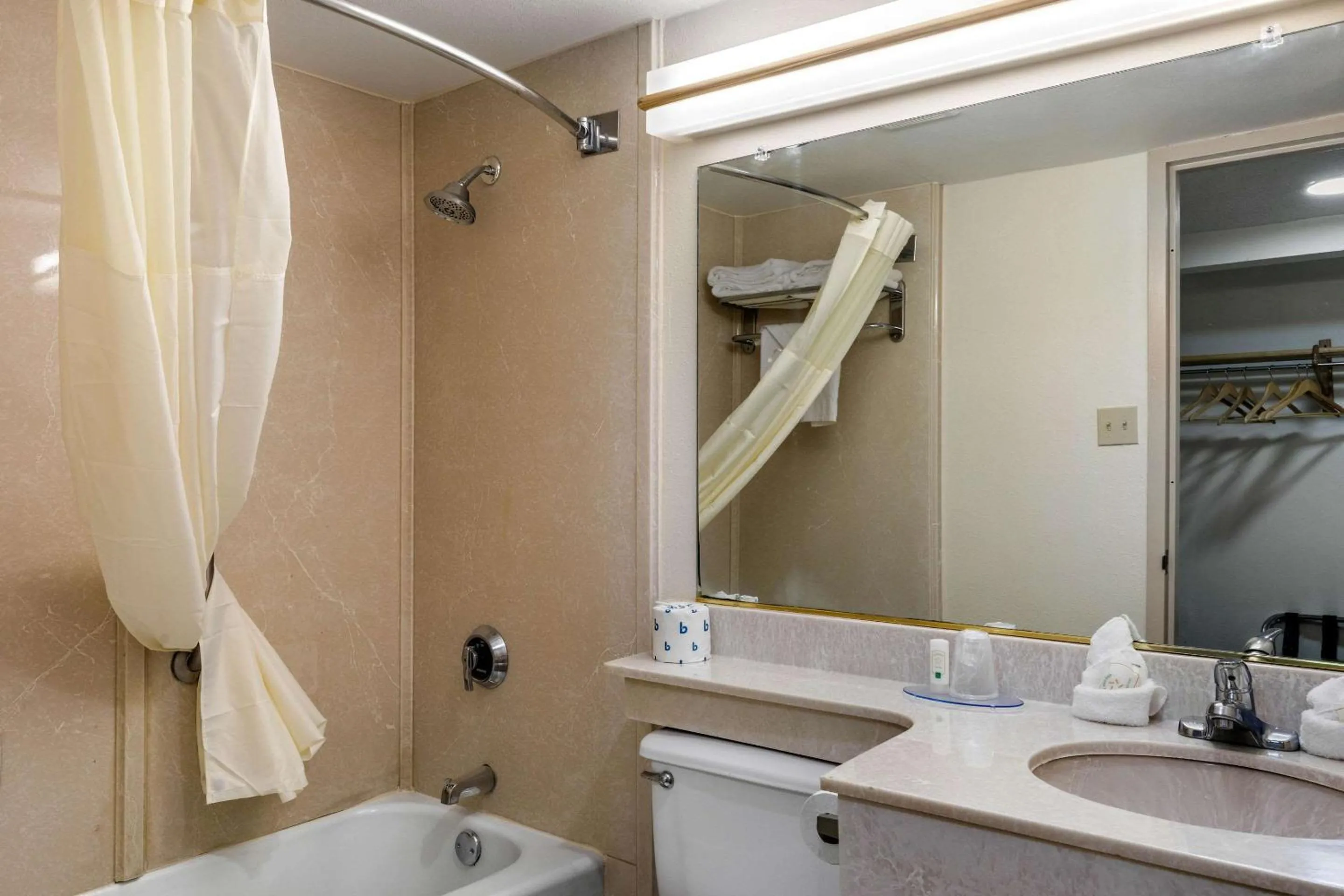 Bathroom in Quality Inn Tyler - Lindale