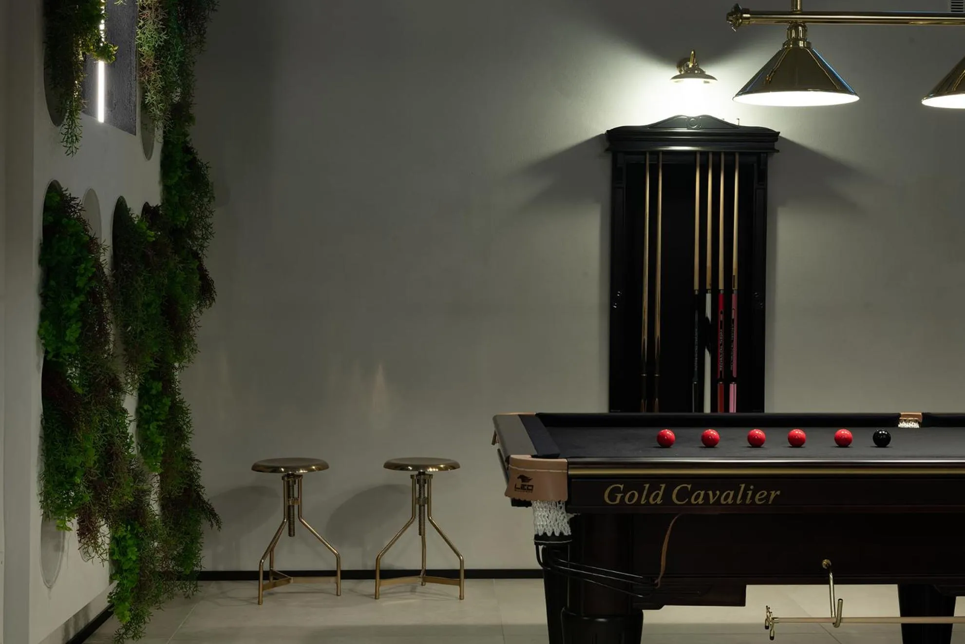 Business facilities in Aria Boutique Apartments Farneti