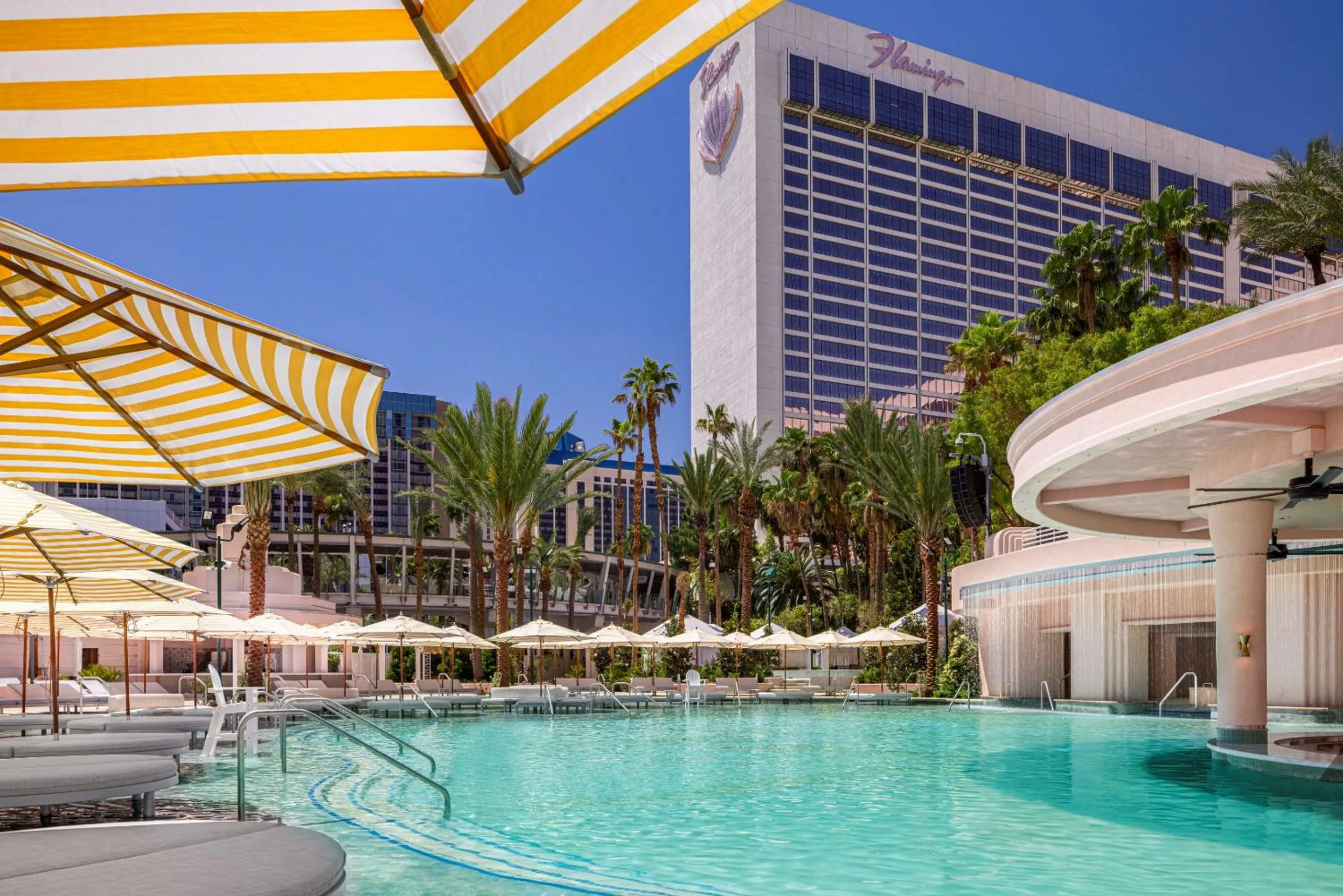 Swimming pool in Flamingo Las Vegas Hotel & Casino