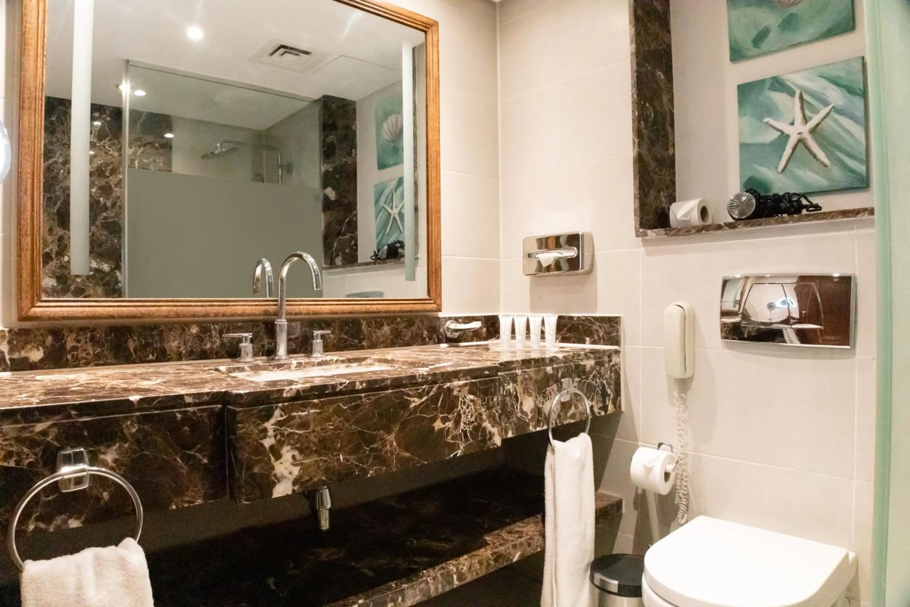 Shower in Sharm Dreams Vacation Club - Aqua Park