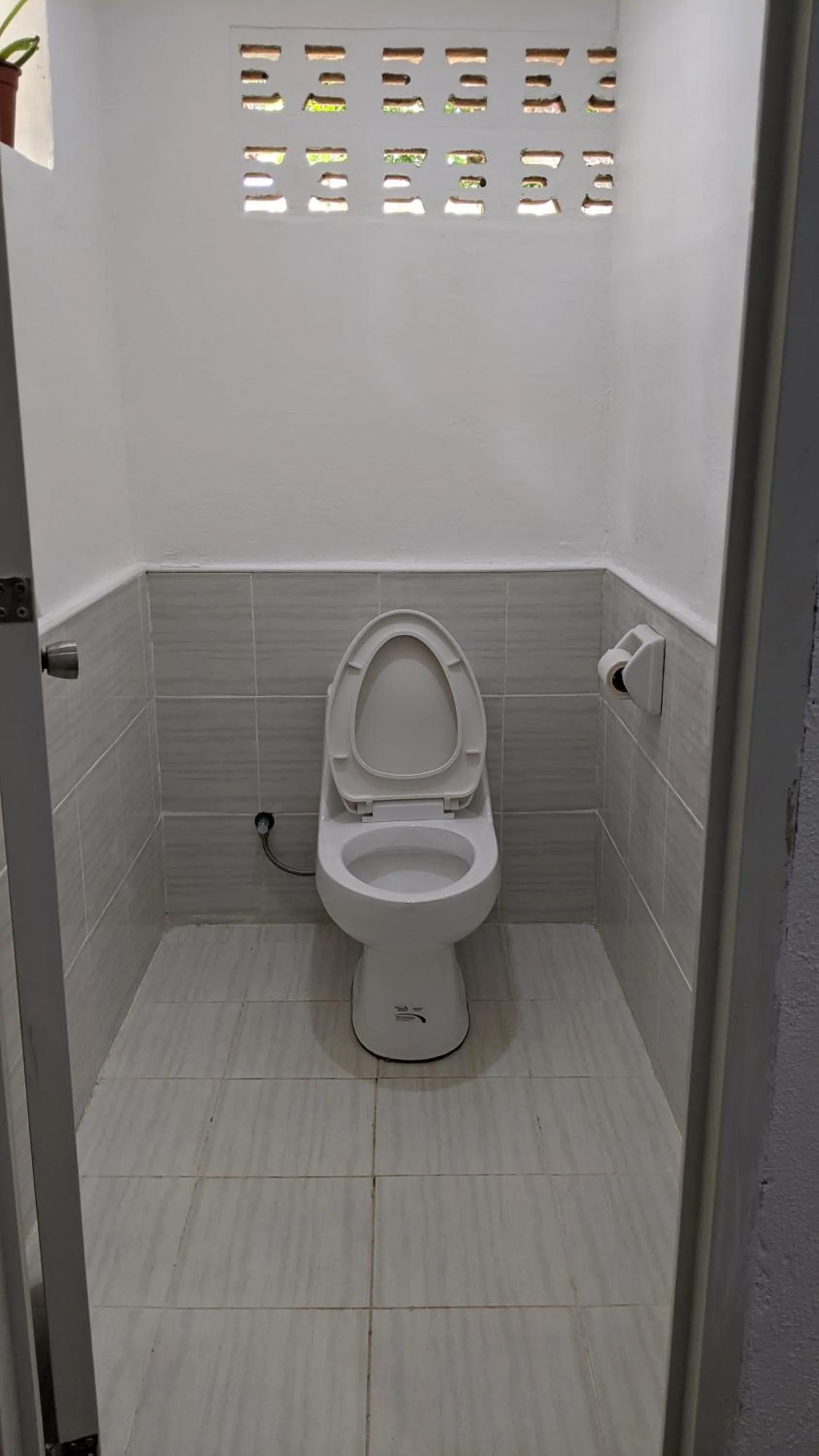 Bathroom in Crazy Bears Hostel