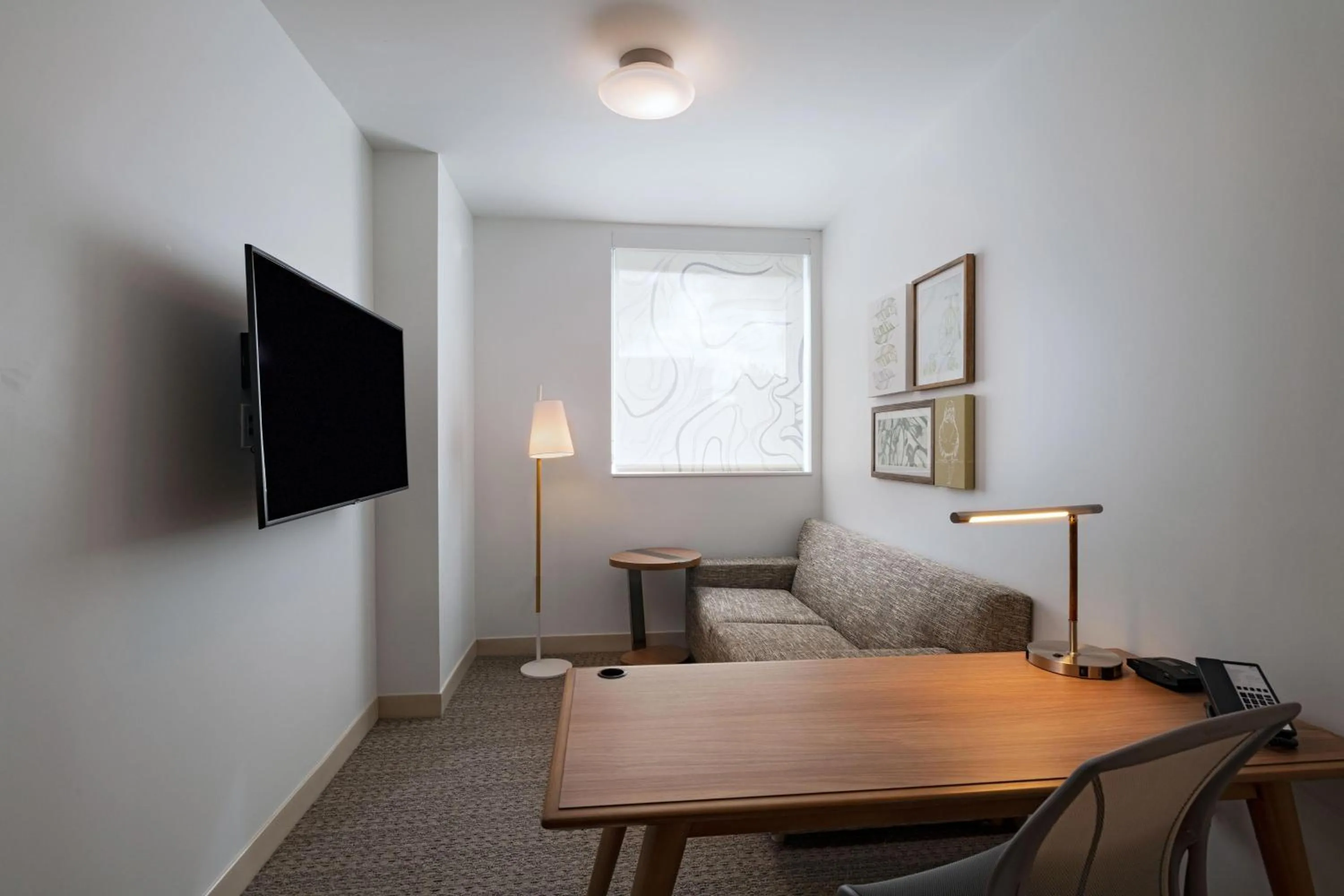 Living room in Element Spring Valley