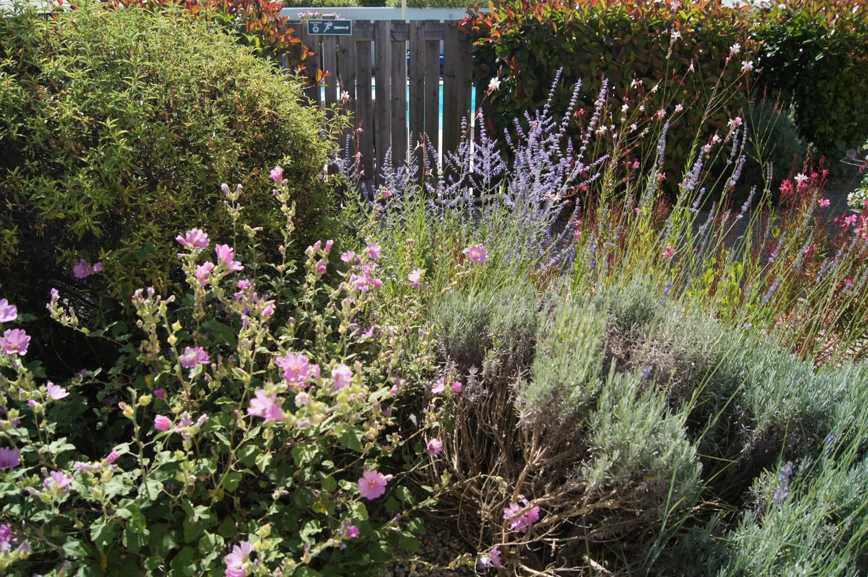 Garden in La Villa - Hôtel Bien Être