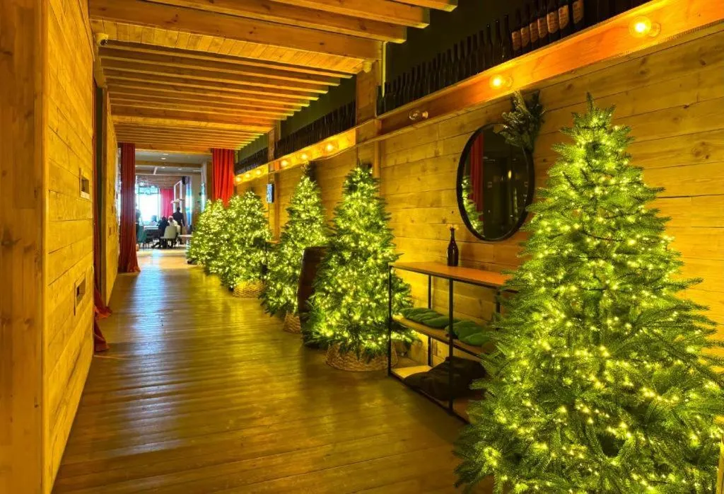 New Gudauri Suites by Gudauri Travel