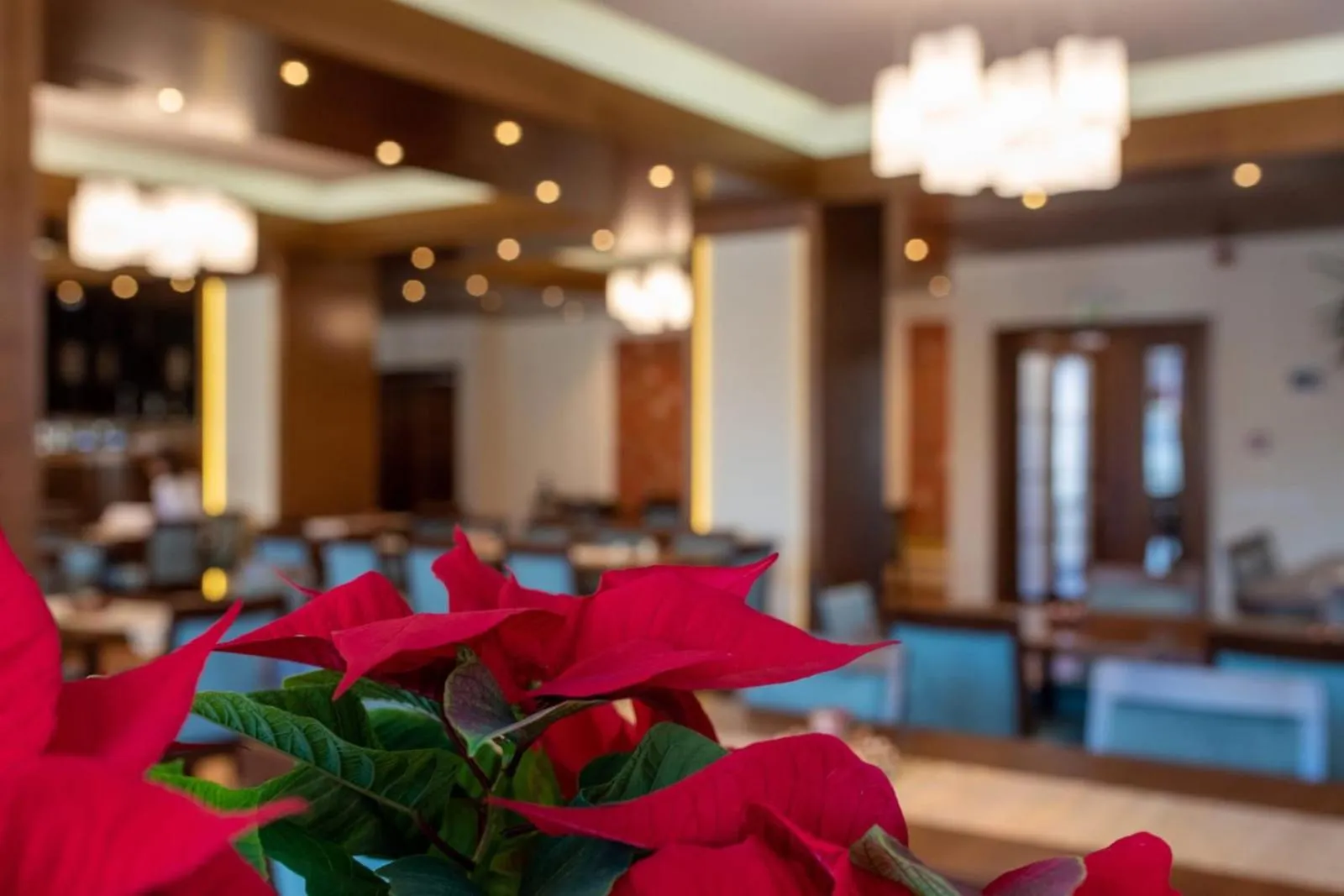 Restaurant/places to eat in Hotel Buchenland