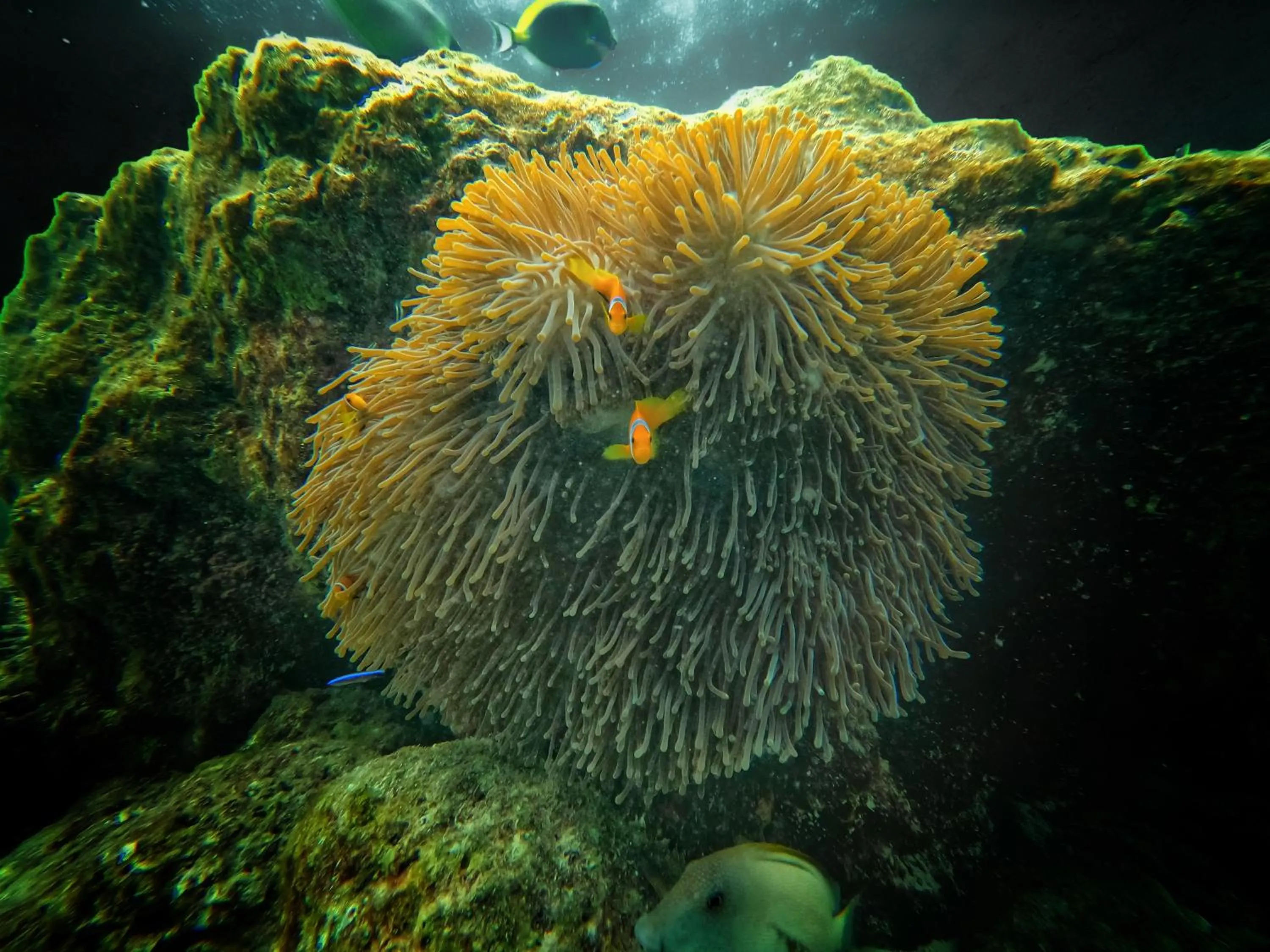 Natural landscape in Athens View