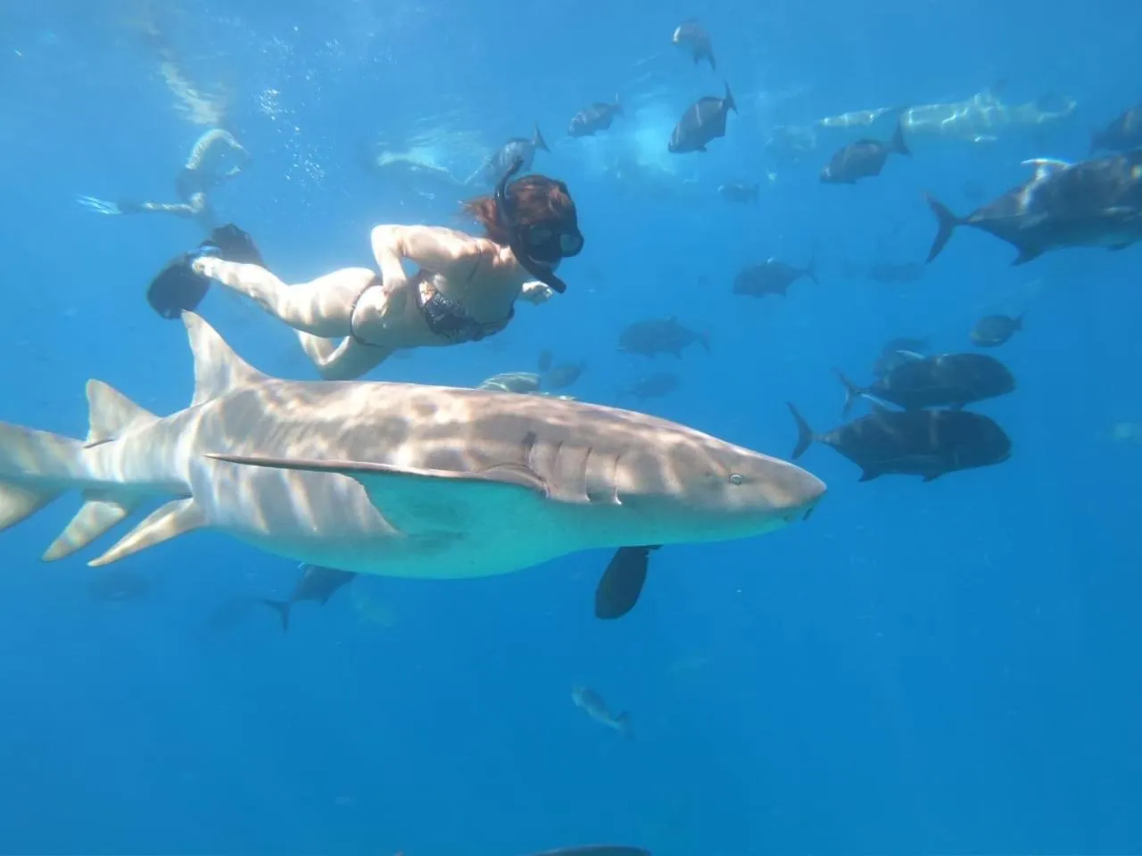 Snorkeling in Athens View