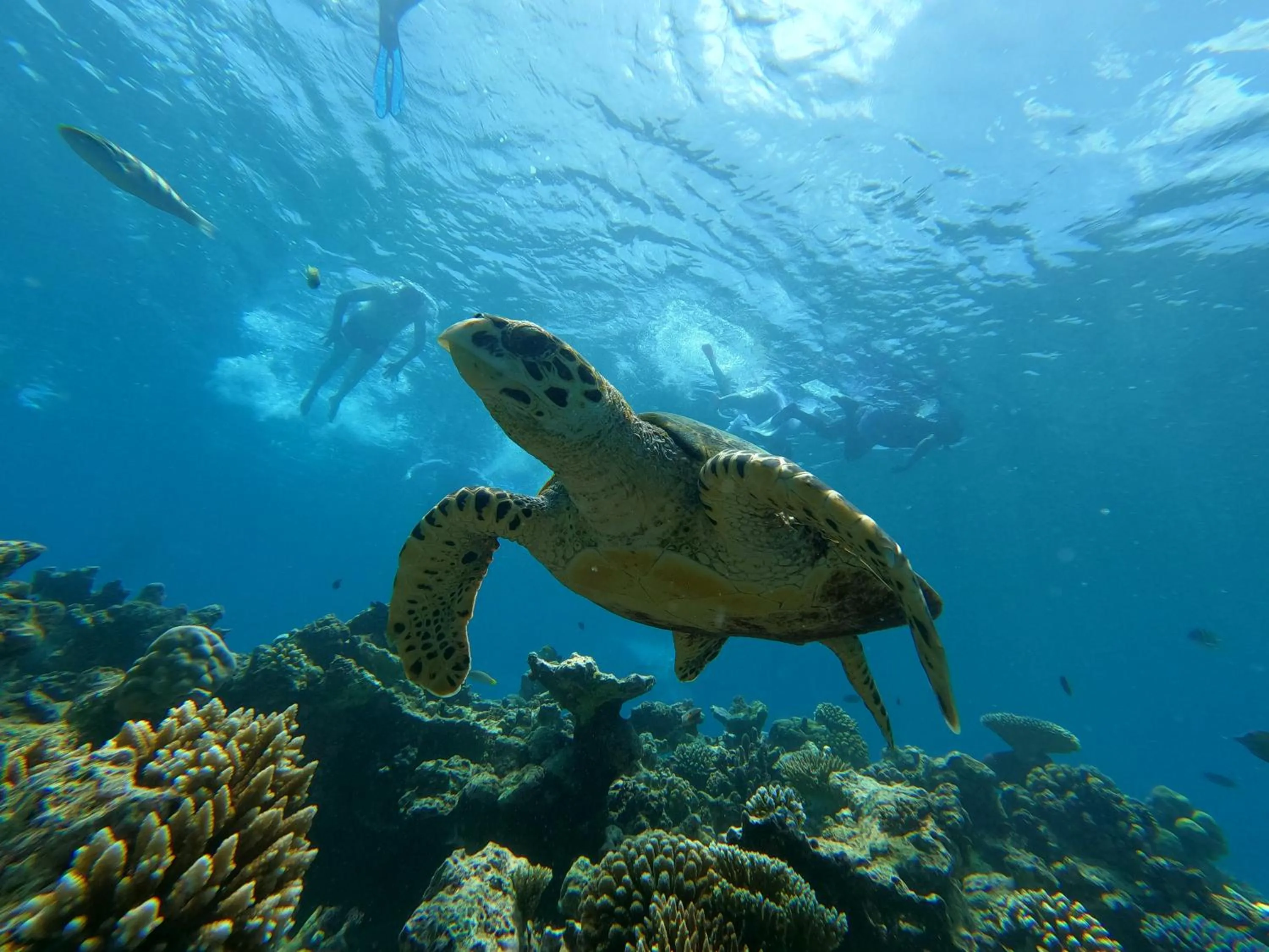 Natural landscape in Athens View