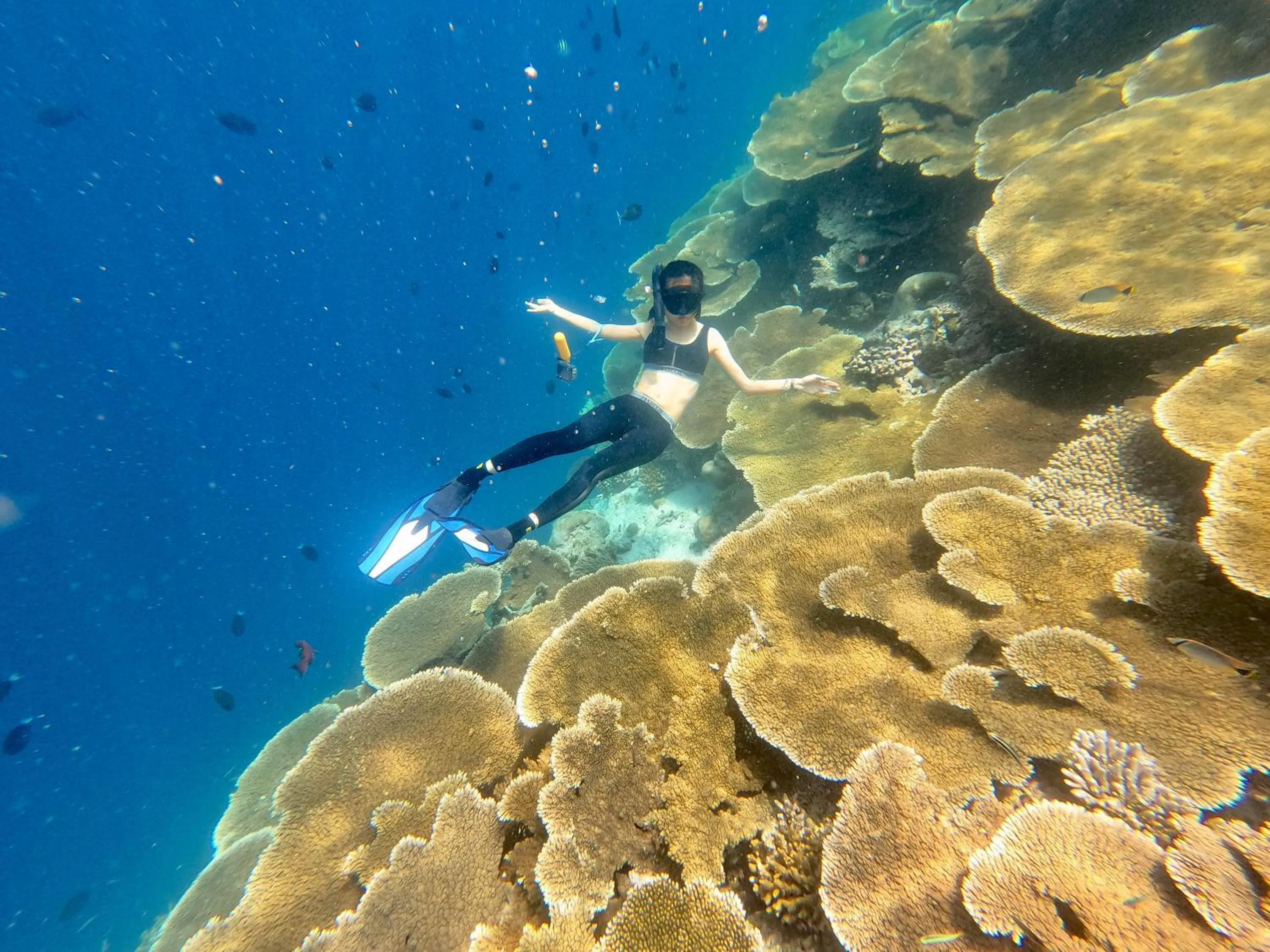 Natural landscape in Athens View