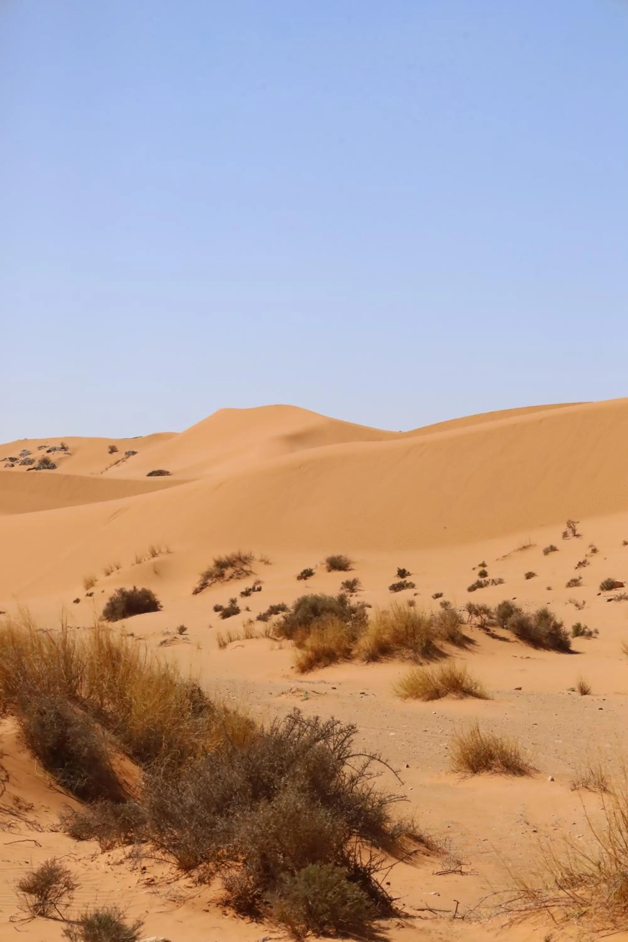 Maison etoile du desert