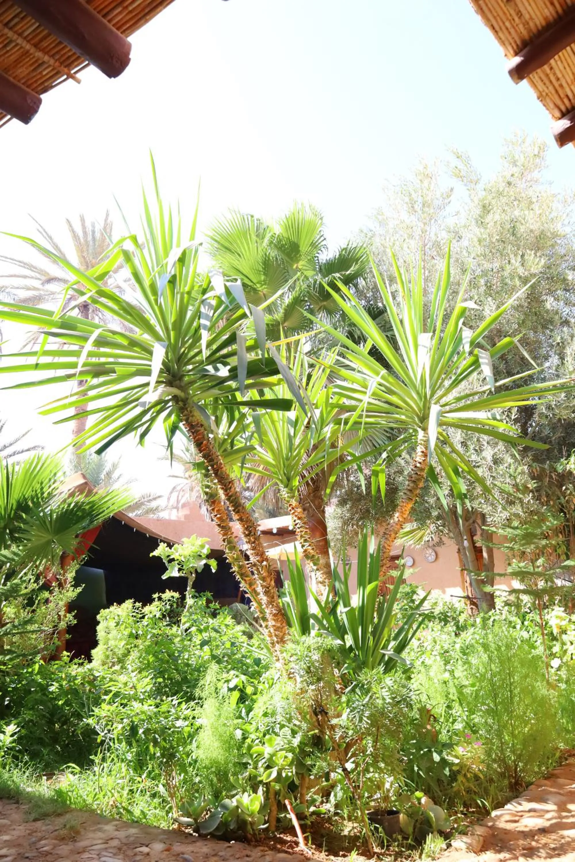 Maison etoile du desert