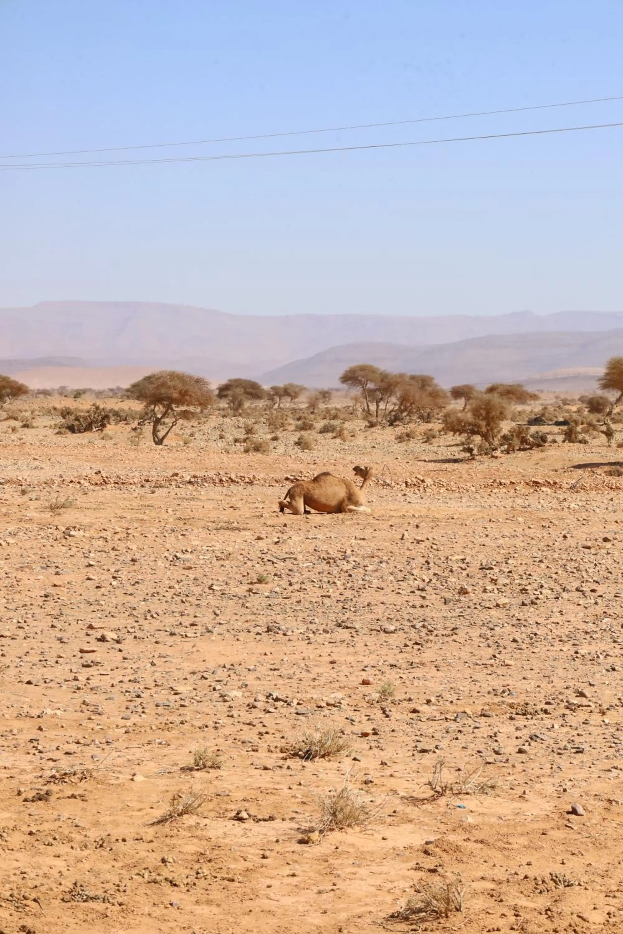 Maison etoile du desert