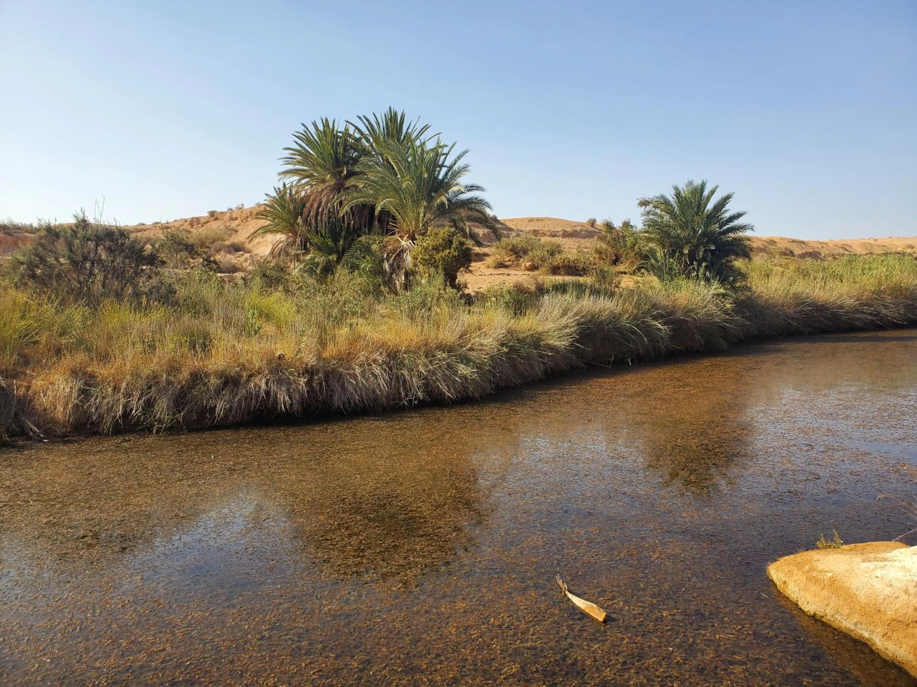 Maison etoile du desert