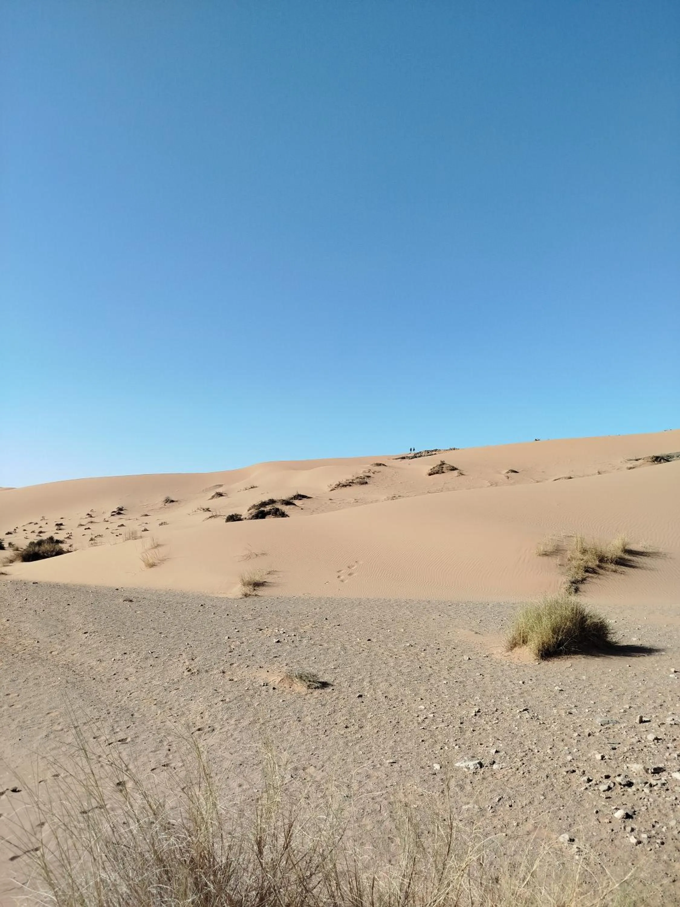 Maison etoile du desert