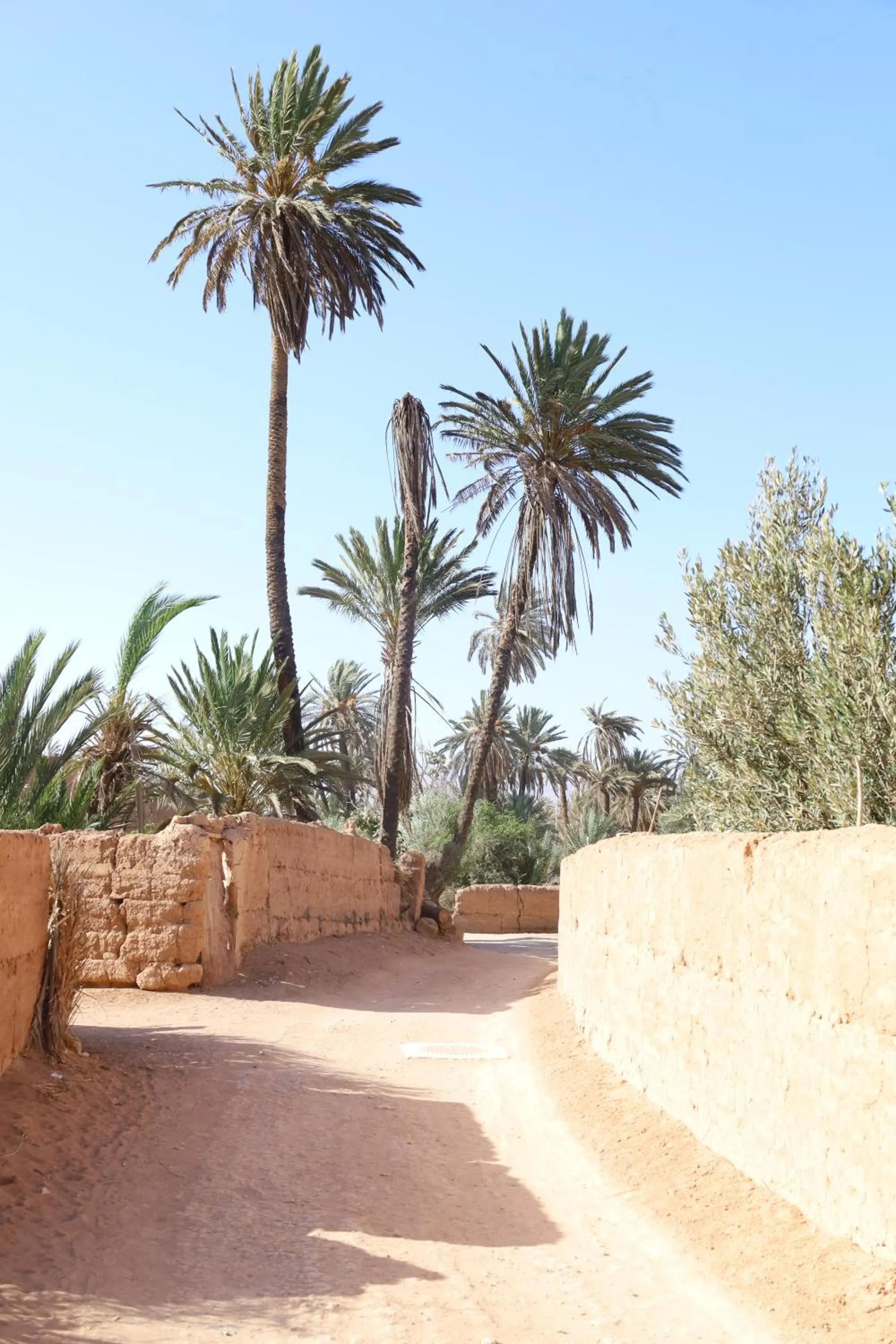 Maison etoile du desert