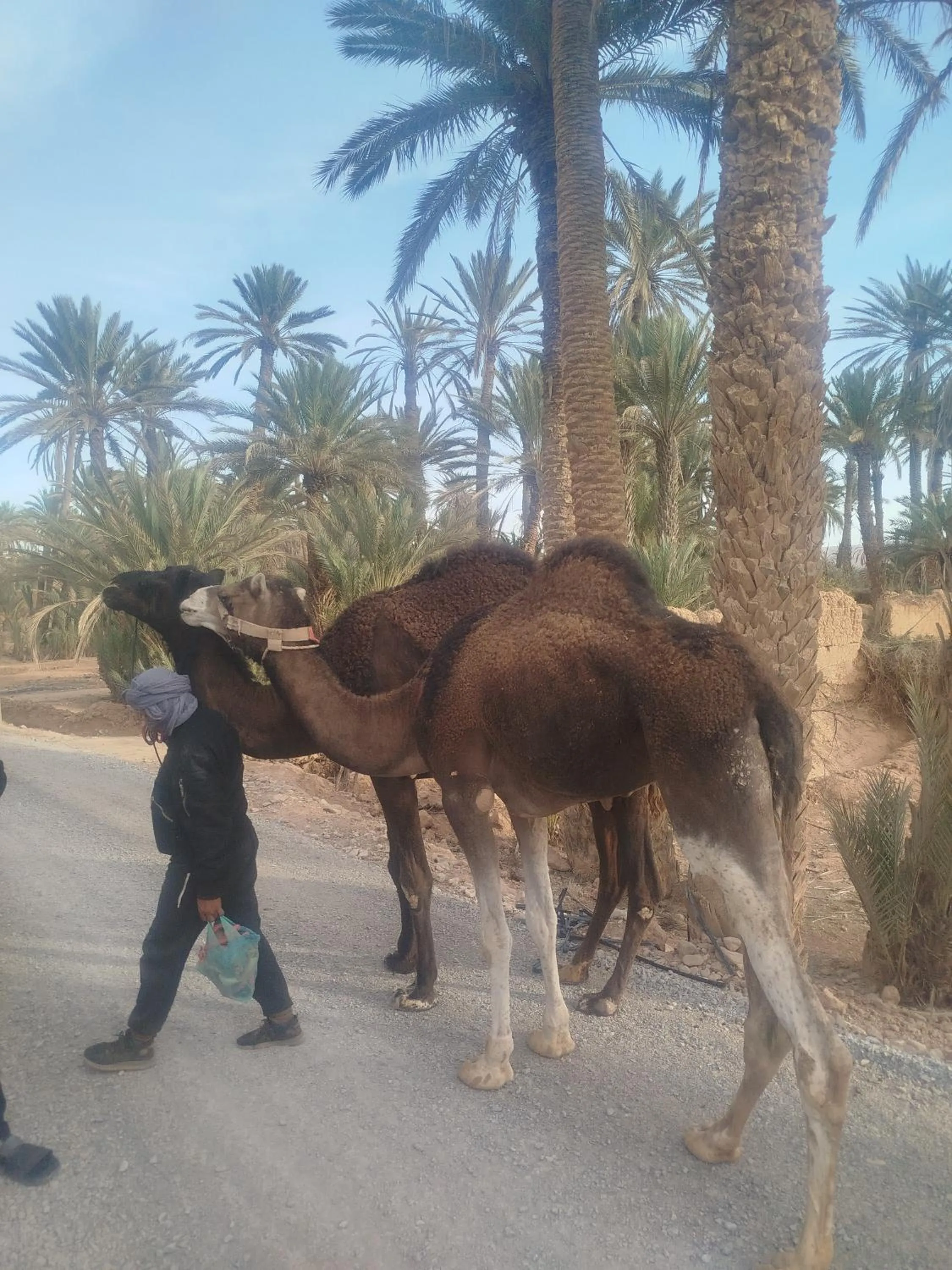 Maison etoile du desert