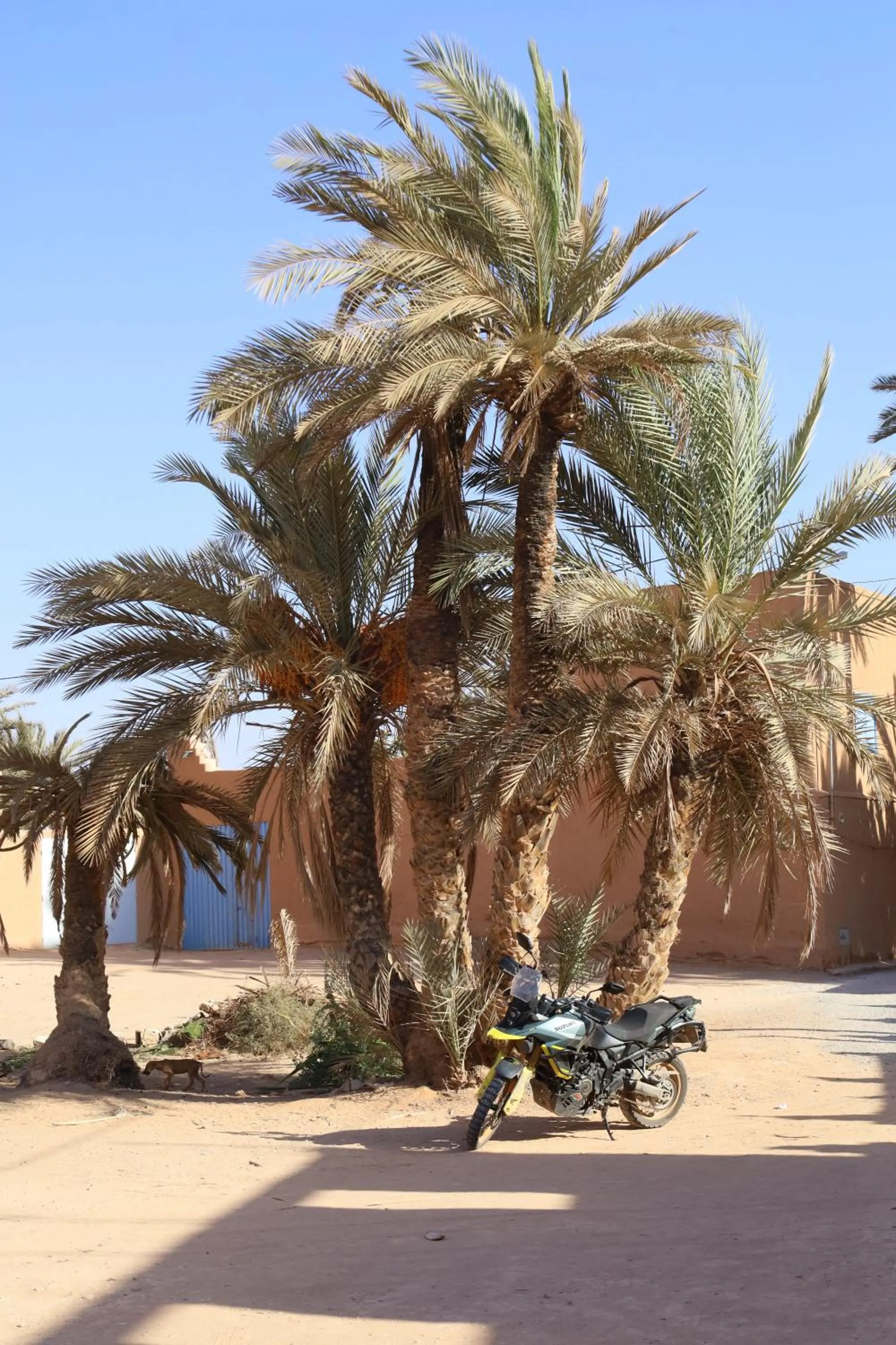 Maison etoile du desert