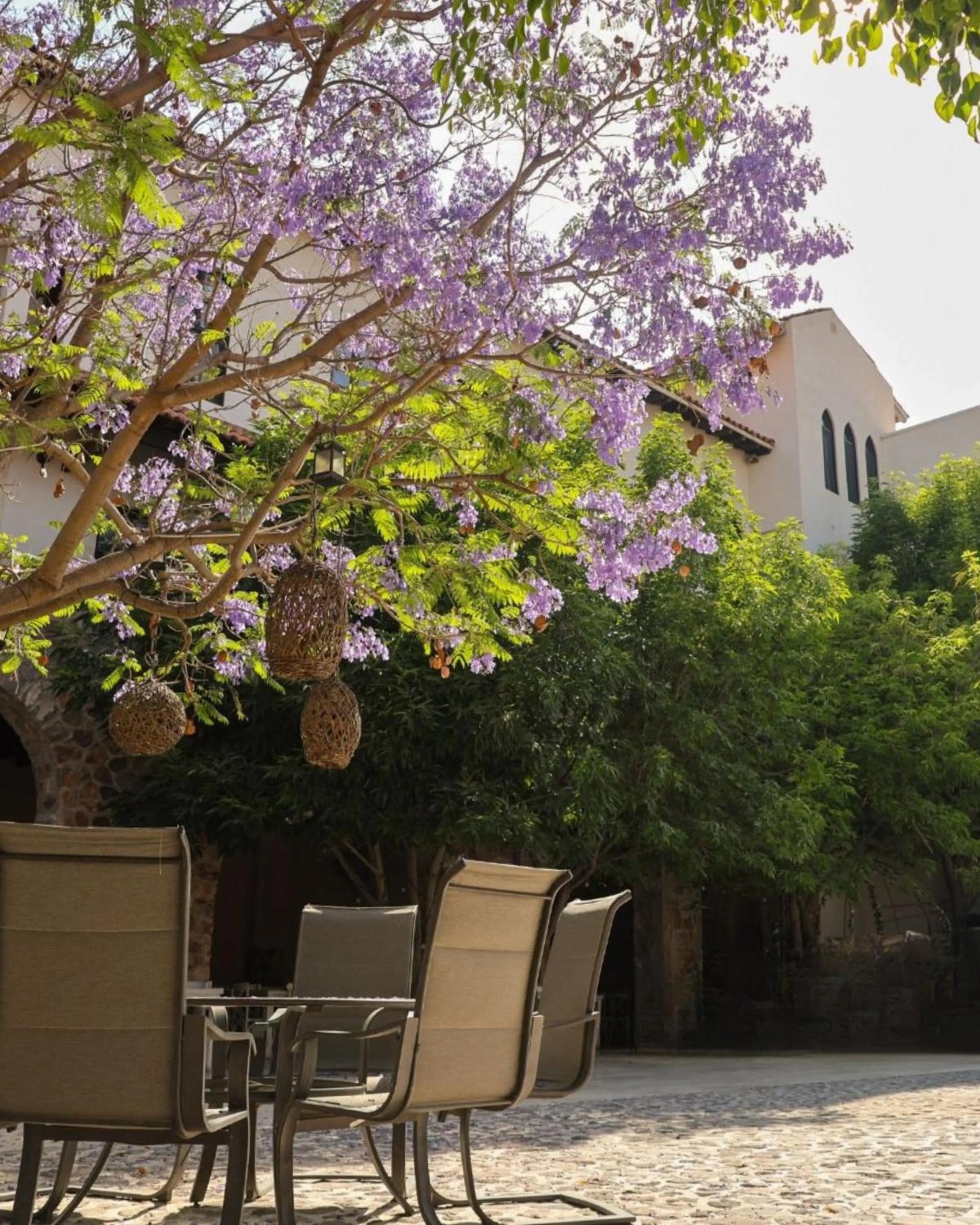 Garden in Suites Campestres Montebello