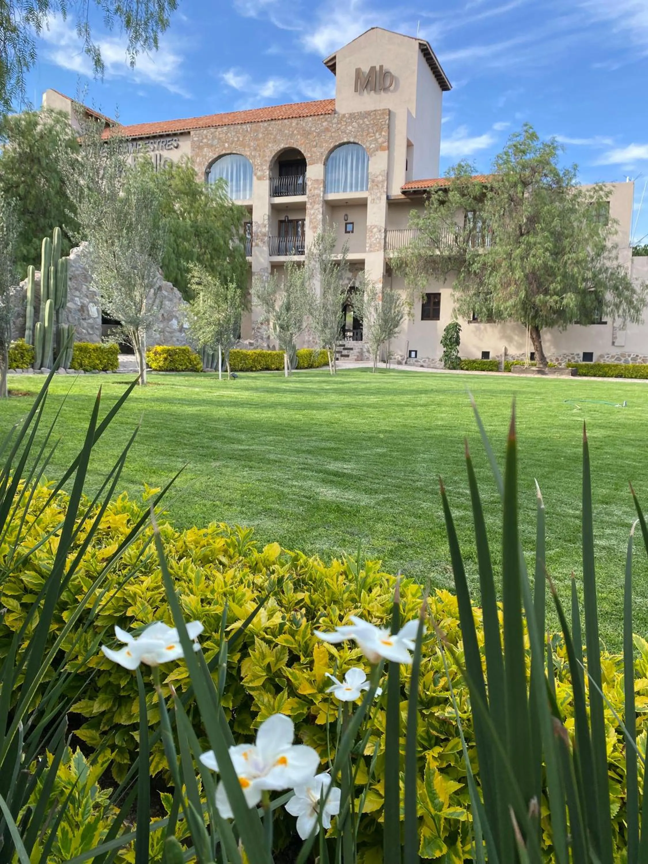 Patio in Suites Campestres Montebello